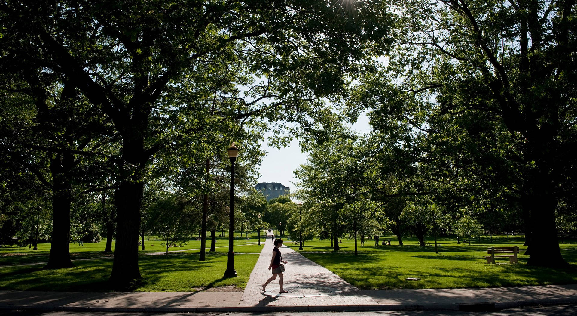 Ohio State University, campus pathways, sunlit tree-lined path, Full HD Desktop Wallpaper