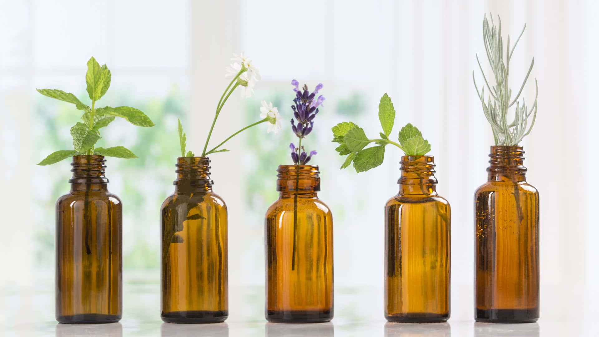 amber glass bottles, fresh herb, flower stem, Full HD Desktop Wallpaper