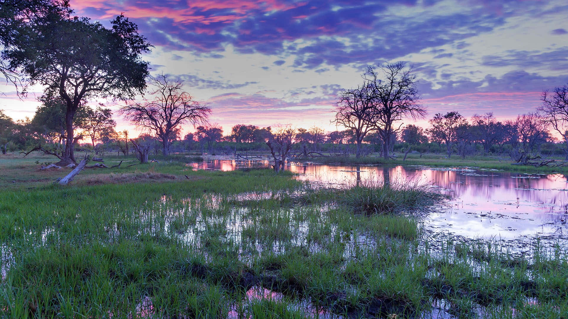 Okavango Delta, pastel sky, dusk, Full HD Desktop Wallpaper