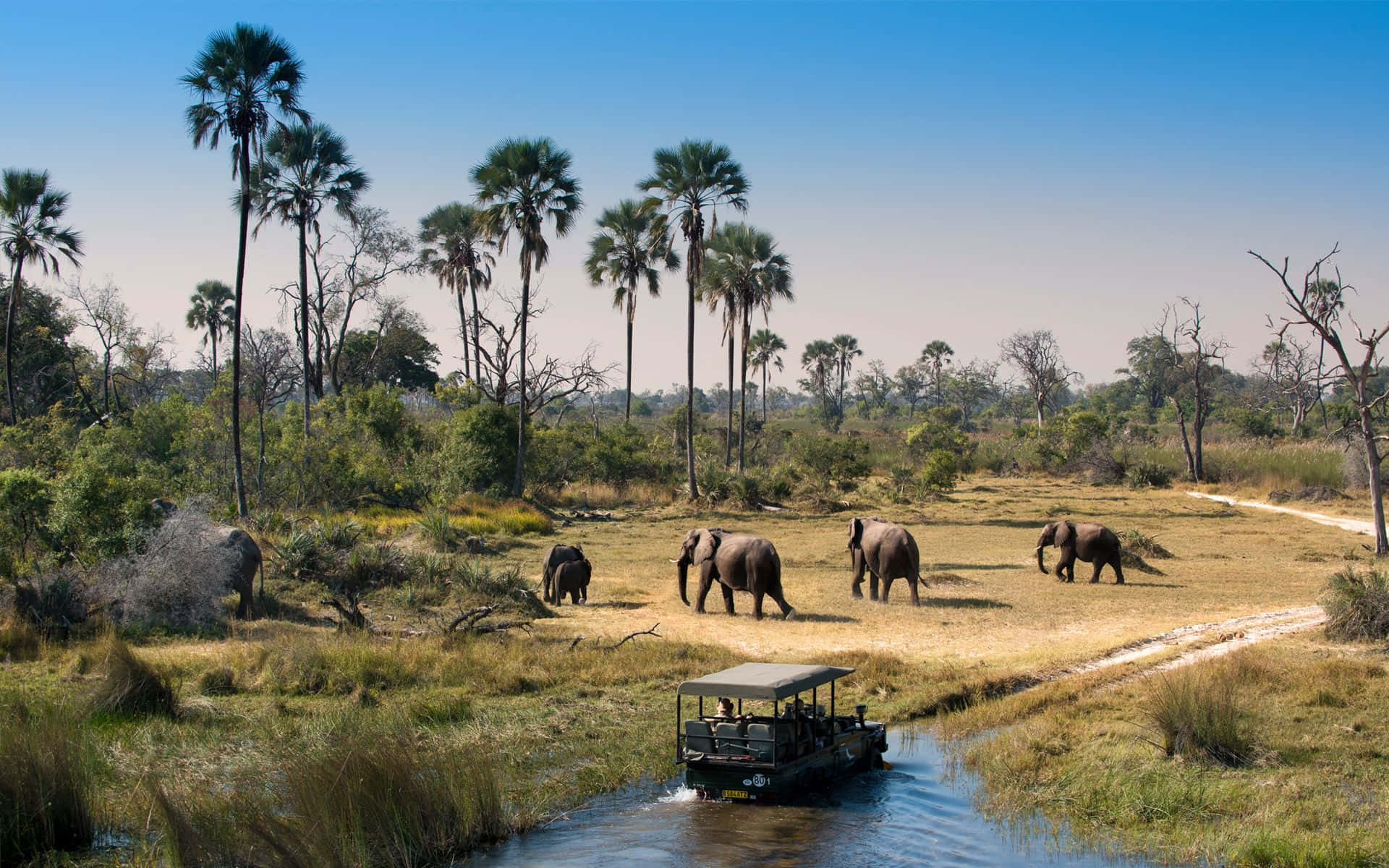 Okavango Delta, safari vehicle, river, Full HD Desktop Wallpaper