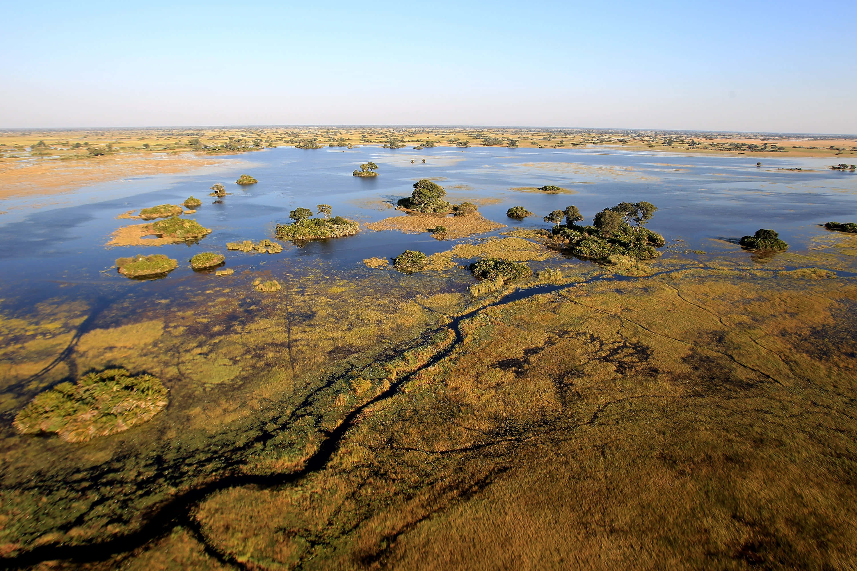 Okavango Delta, wetland, green islands, 2K Desktop Wallpaper