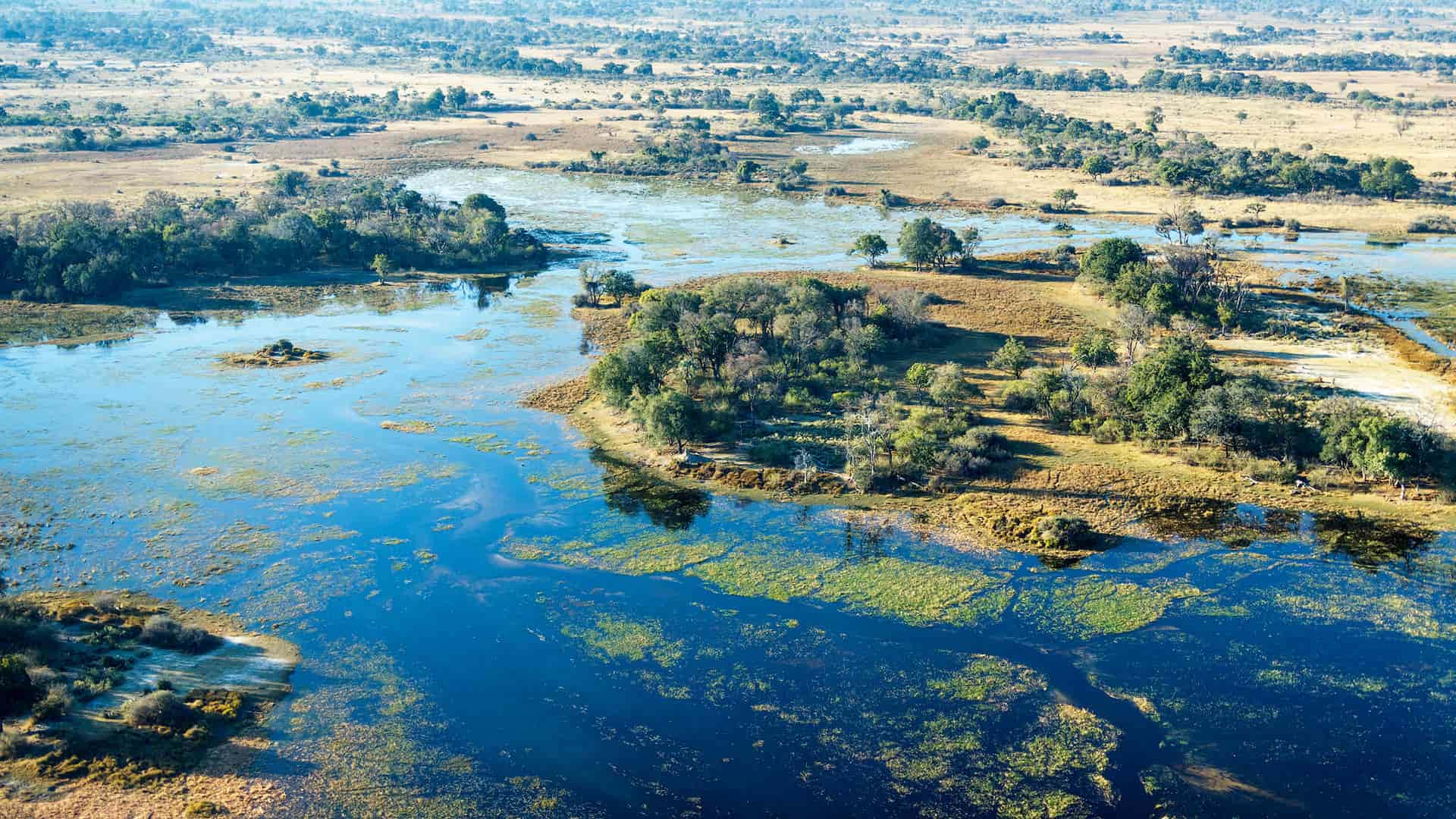 Okavango Delta, winding river, lush green islands, Full HD Desktop Wallpaper