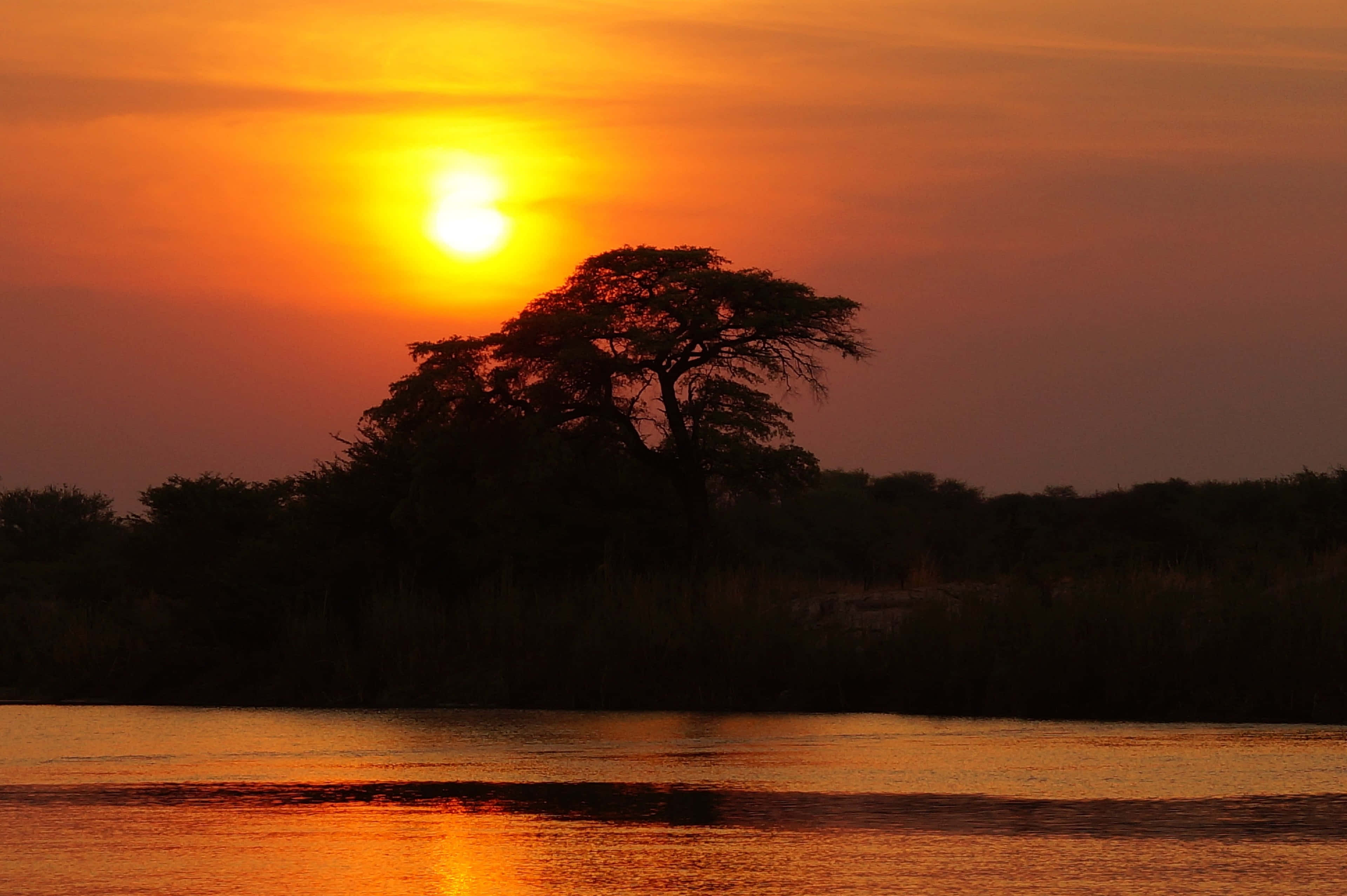 Okavango Delta, silhouette, sunset, 4K Desktop Wallpaper