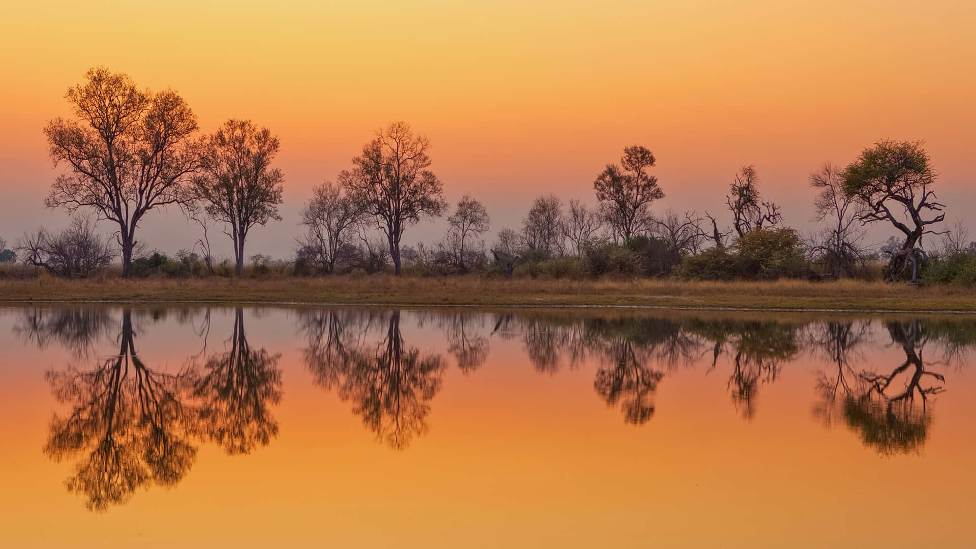 Okavango Delta, sunset, fiery orange sunset sky, Full HD Desktop Wallpaper