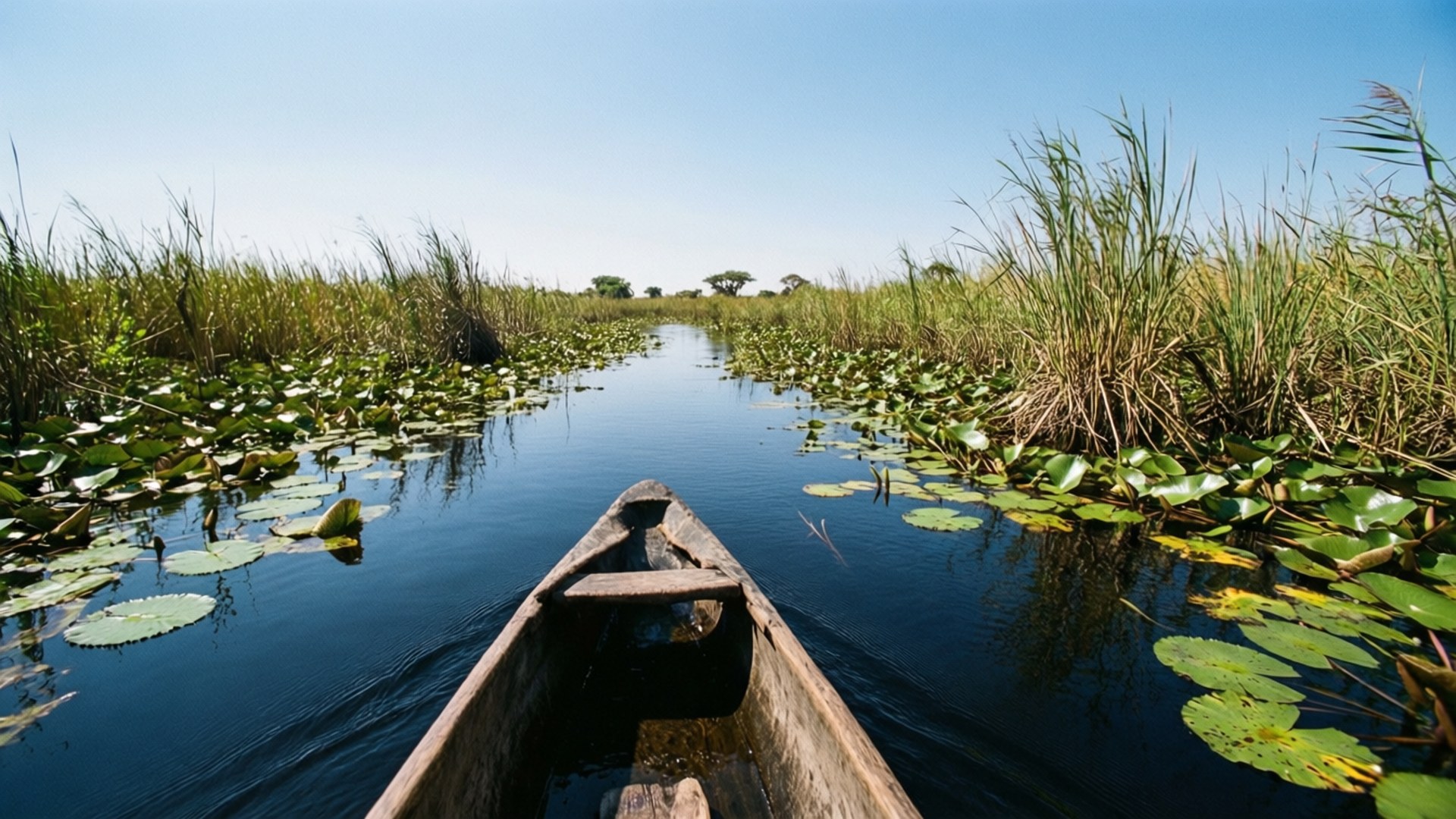 mokoro canoe, serene waterway, lily pads, Full HD Desktop Wallpaper