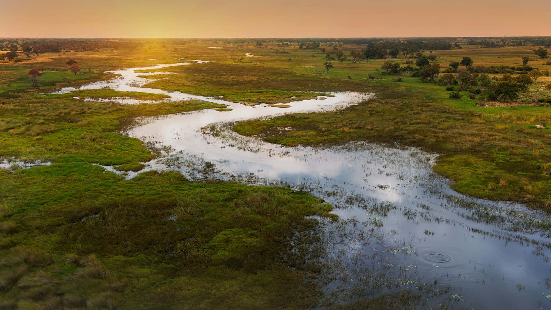 Okavango Delta, winding river, golden sunset, Full HD Desktop Wallpaper