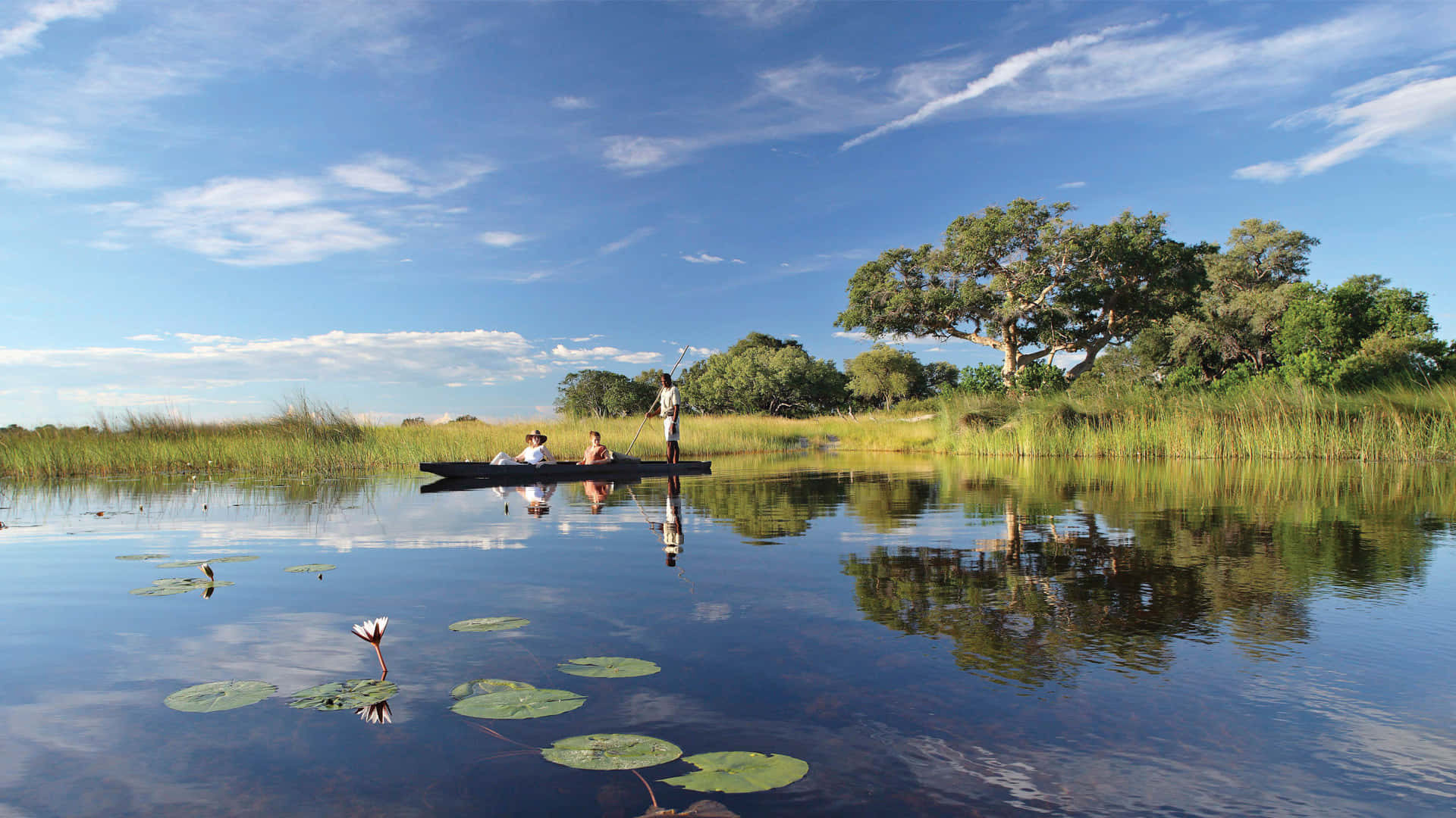 Okavango Delta, tourist canoe, lily pond, Full HD Desktop Wallpaper