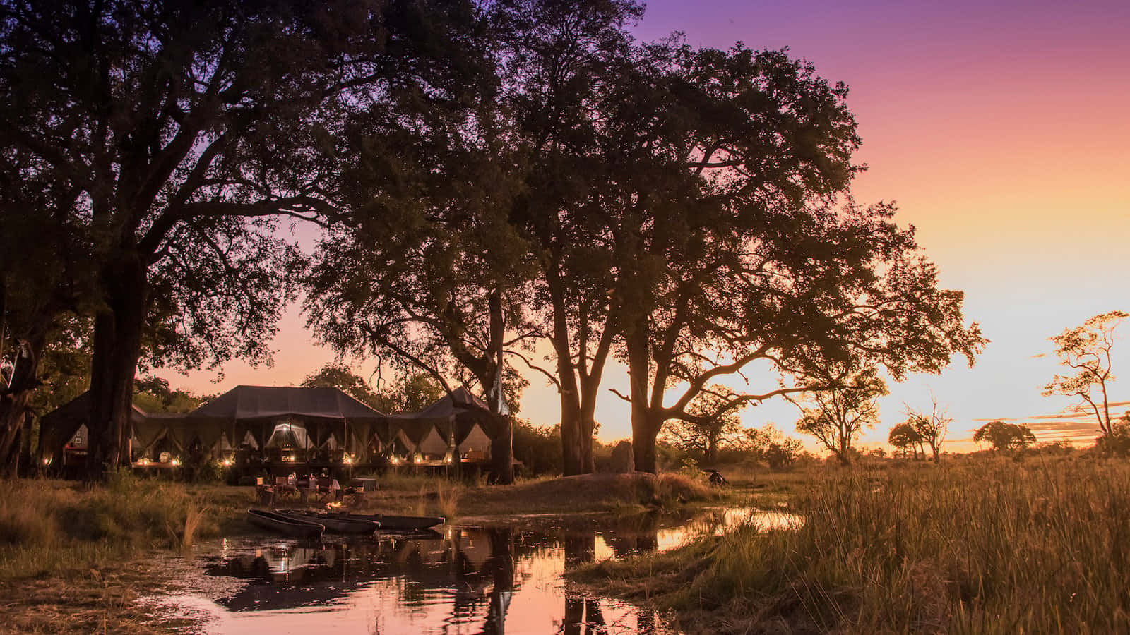 Okavango Delta, safari camping, luxury safari tents, HD Desktop Wallpaper