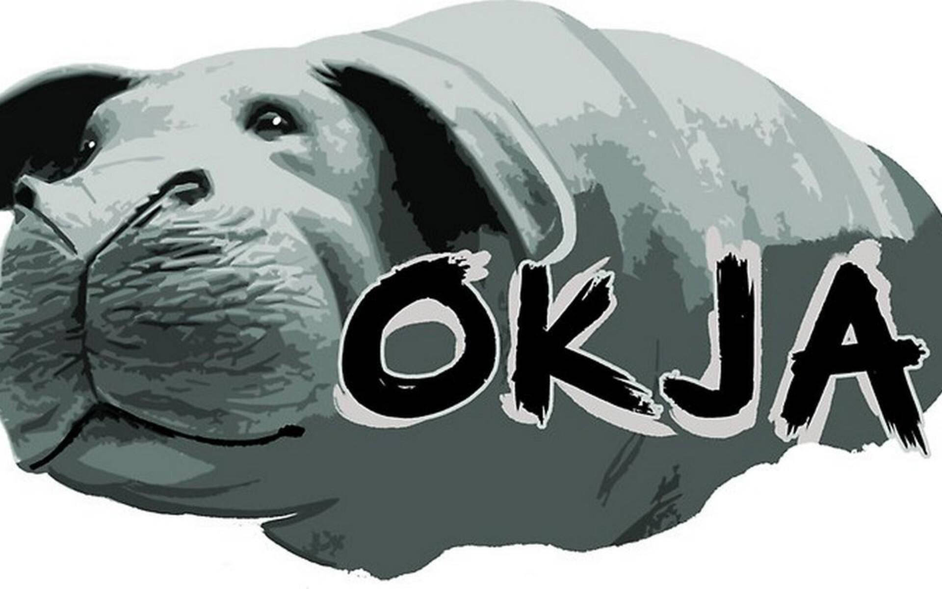 Okja, cel shaded digital art, bold brushstroke letters, Full HD Desktop Wallpaper