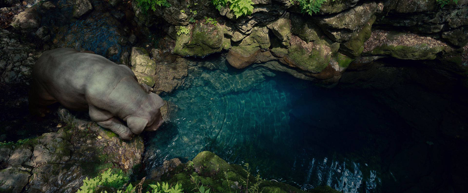 Okja, clear blue waters, deep blue pool, Full HD Desktop Wallpaper