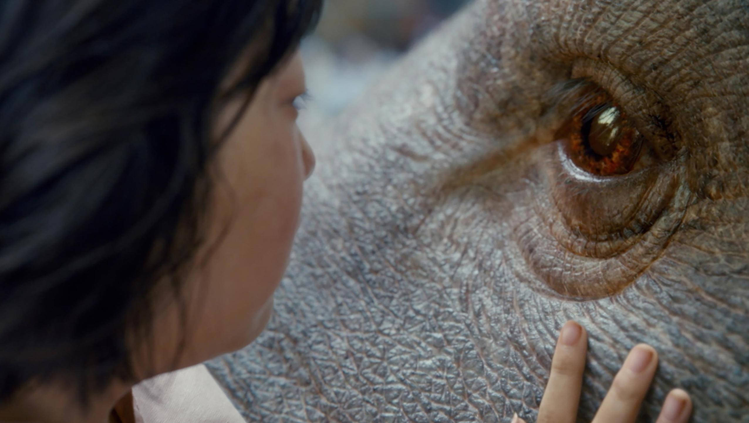 Okja, amber eye, textured gray skin, Full HD Desktop Wallpaper