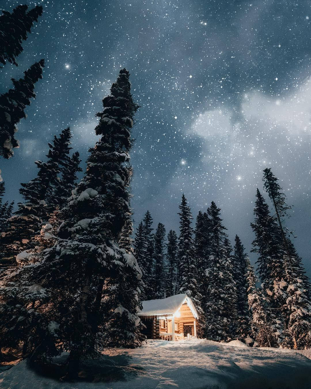 Old Aesthetic Christmas, snow-covered cabin, towering pine trees, HD Phone Wallpaper