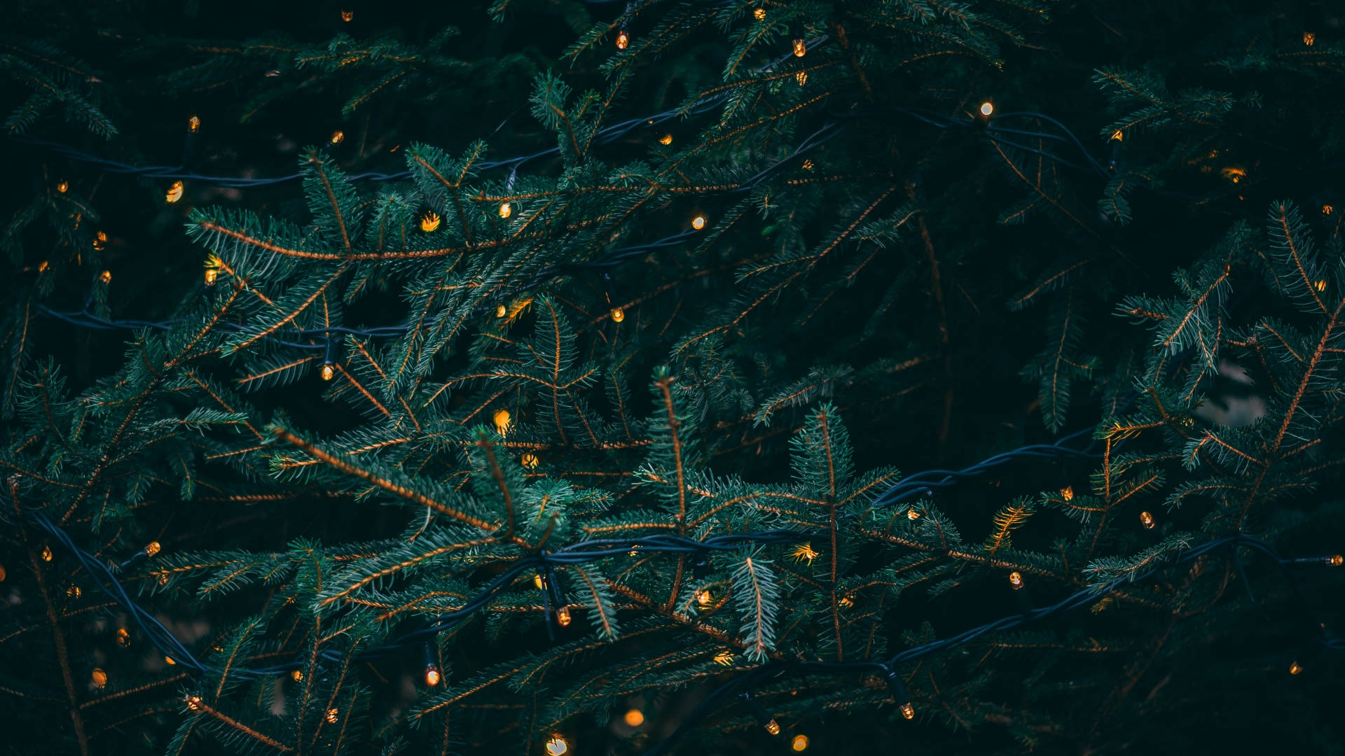 Old Aesthetic Christmas, golden fairy lights, dark green pine branches, Full HD Desktop Wallpaper