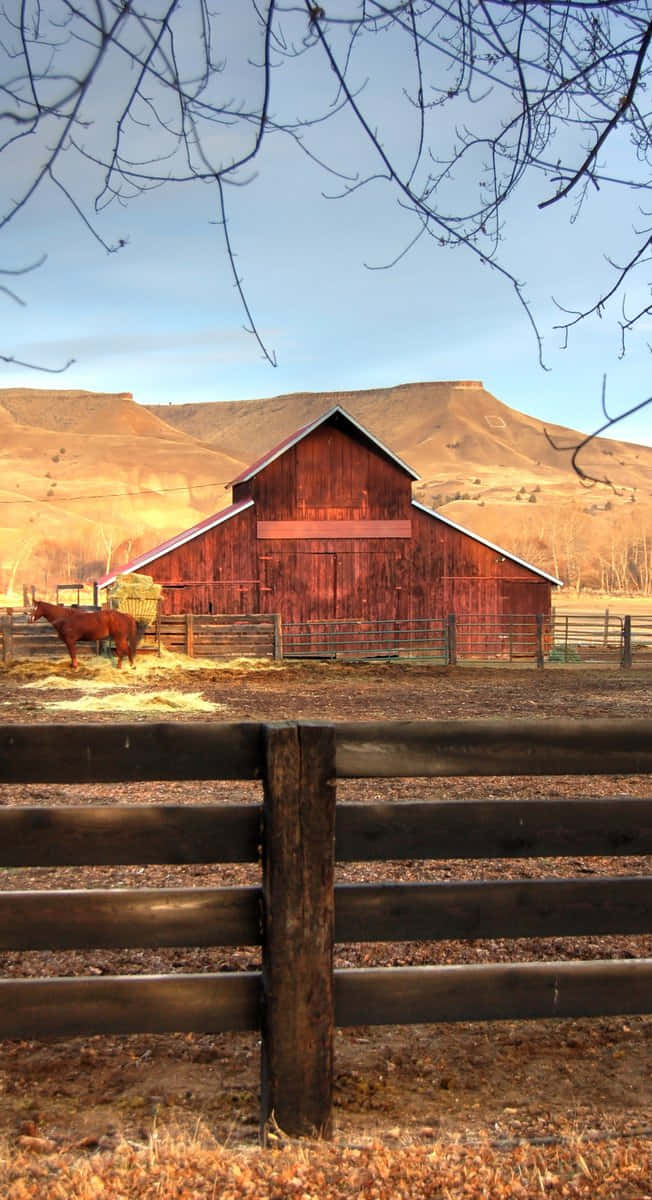 red old barn, dry field, brown horse, SD Phone Wallpaper