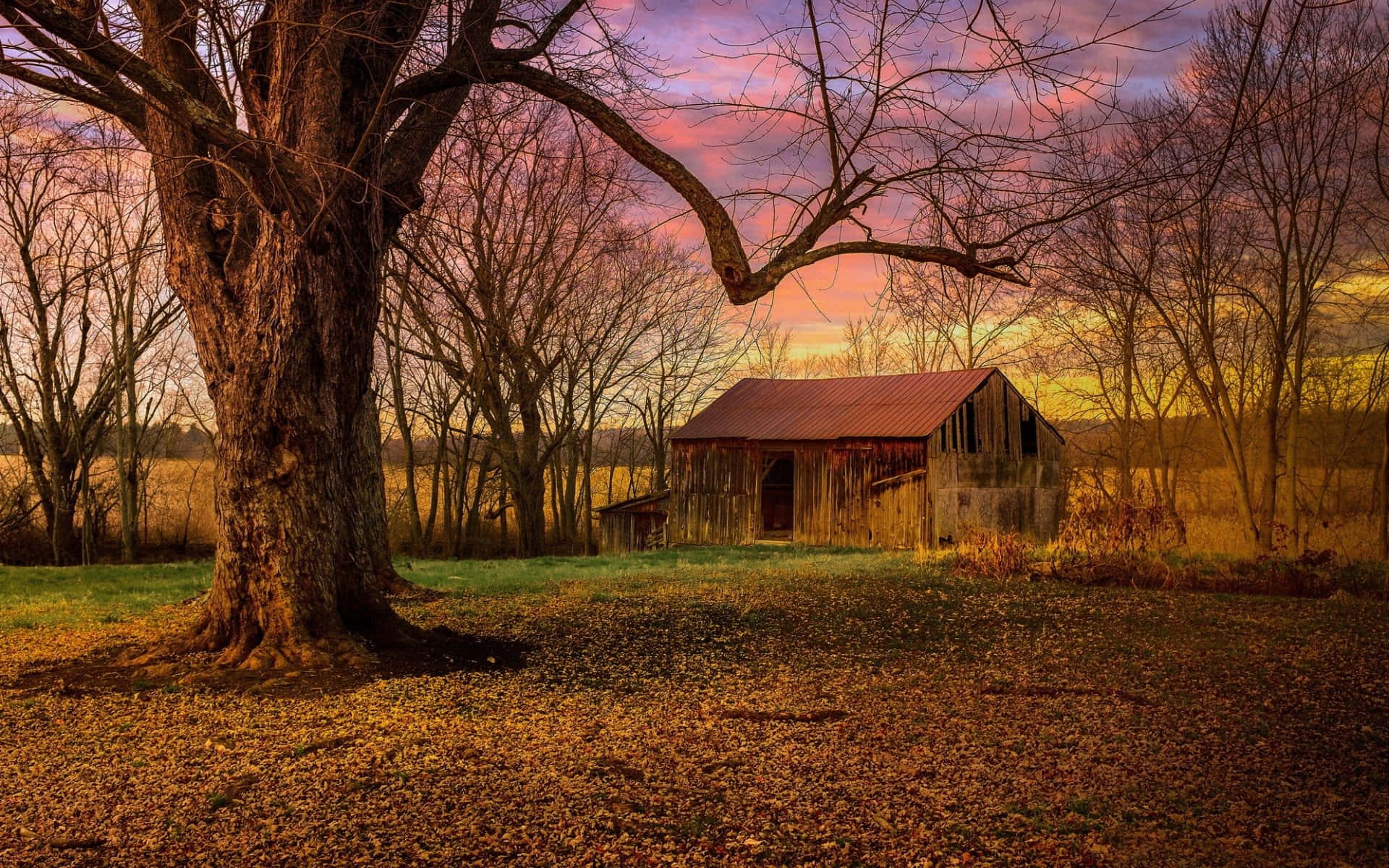 abandoned old barn cabin, vibrant sunset sky, bare trees, Full HD Desktop Wallpaper