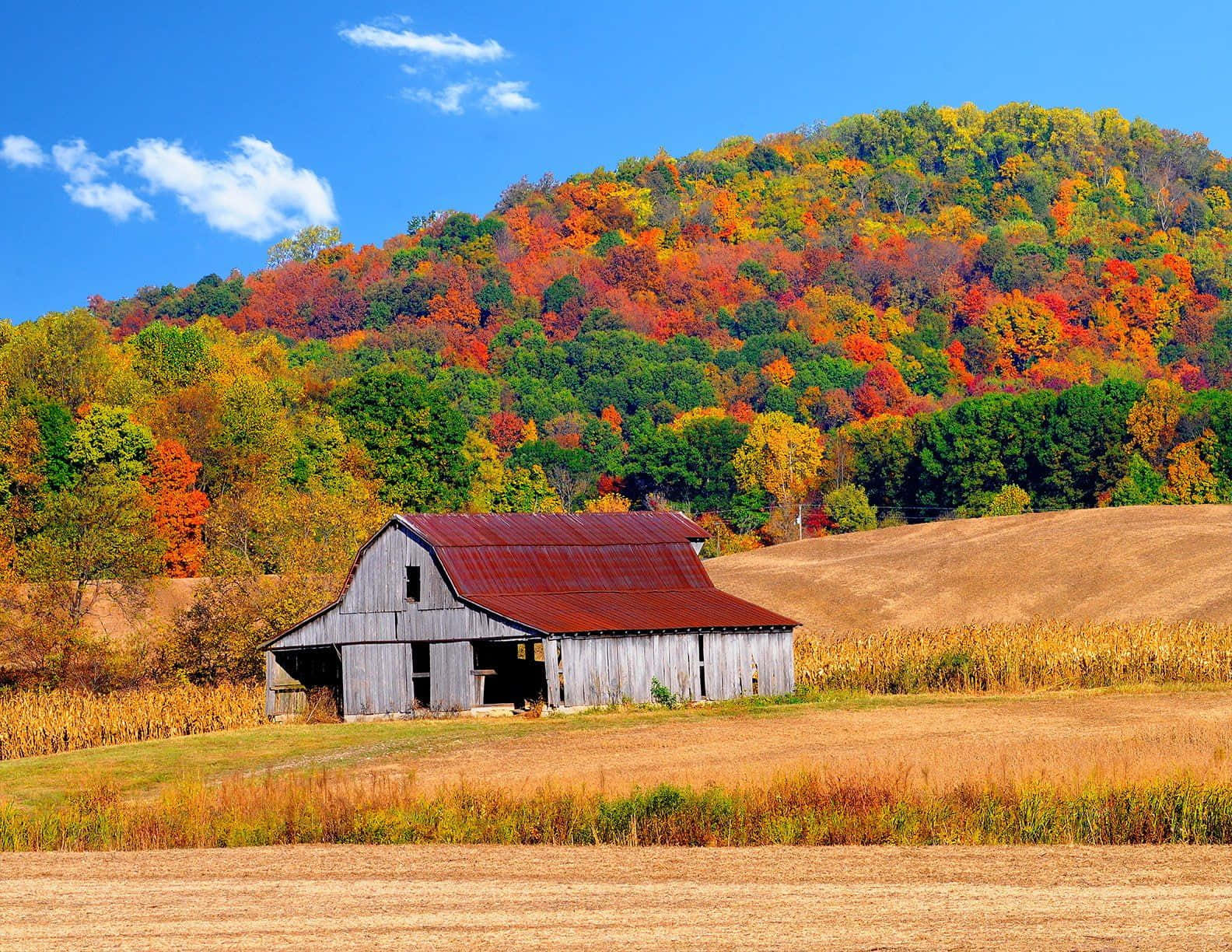 wooden old barn, autumn, rusty red roof, HD Desktop Wallpaper