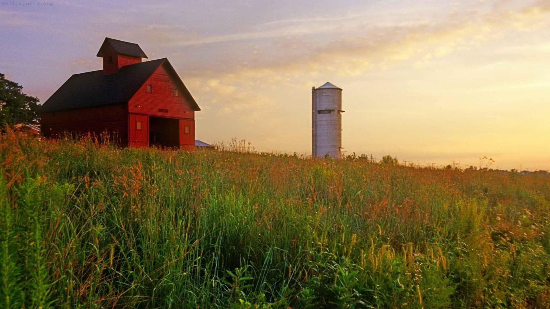 Red Barn, white silo, tall golden grass, Full HD Desktop Wallpaper