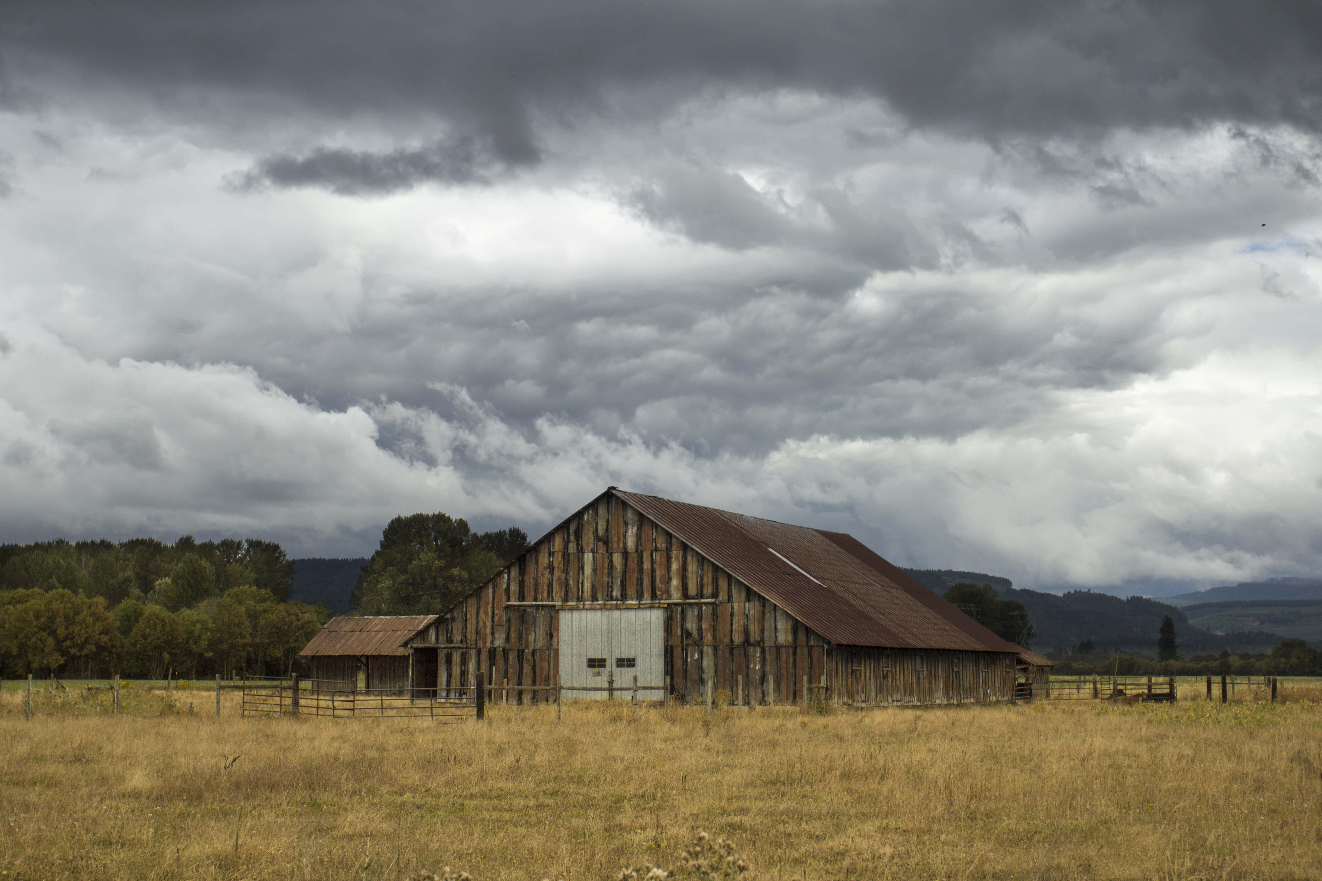 dark gray, old barn, golden field, 4K Desktop Wallpaper