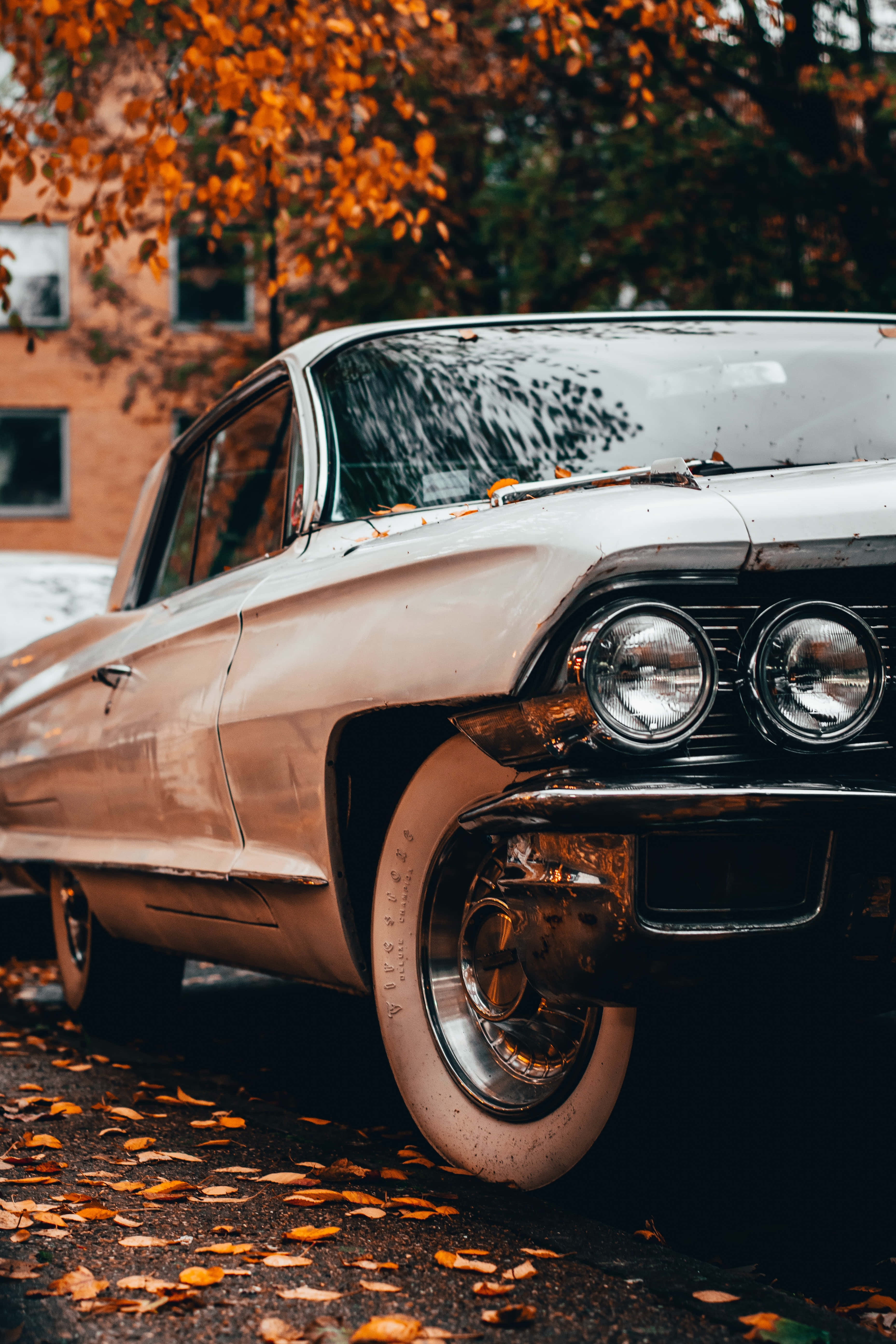 cream Cadillac, chrome details, autumn trees, 5K Phone Wallpaper