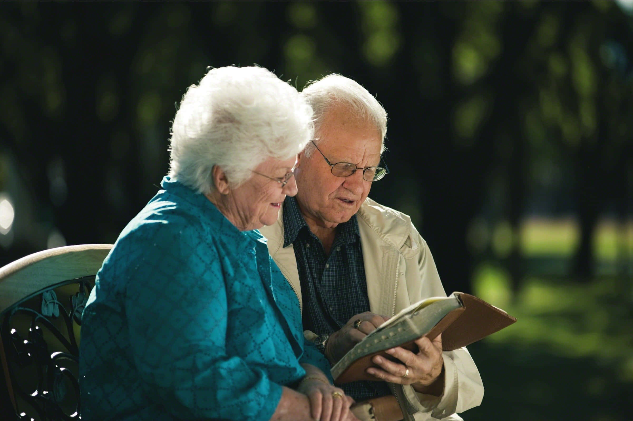 Old Couple, reading, park, Full HD Desktop Wallpaper