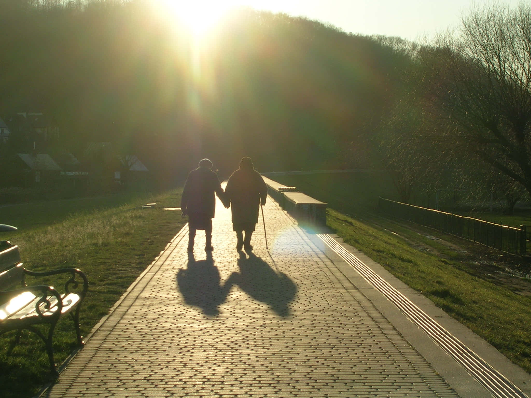 Old Couple, sunny walk, sun-drenched cobblestone path, Full HD Desktop Wallpaper