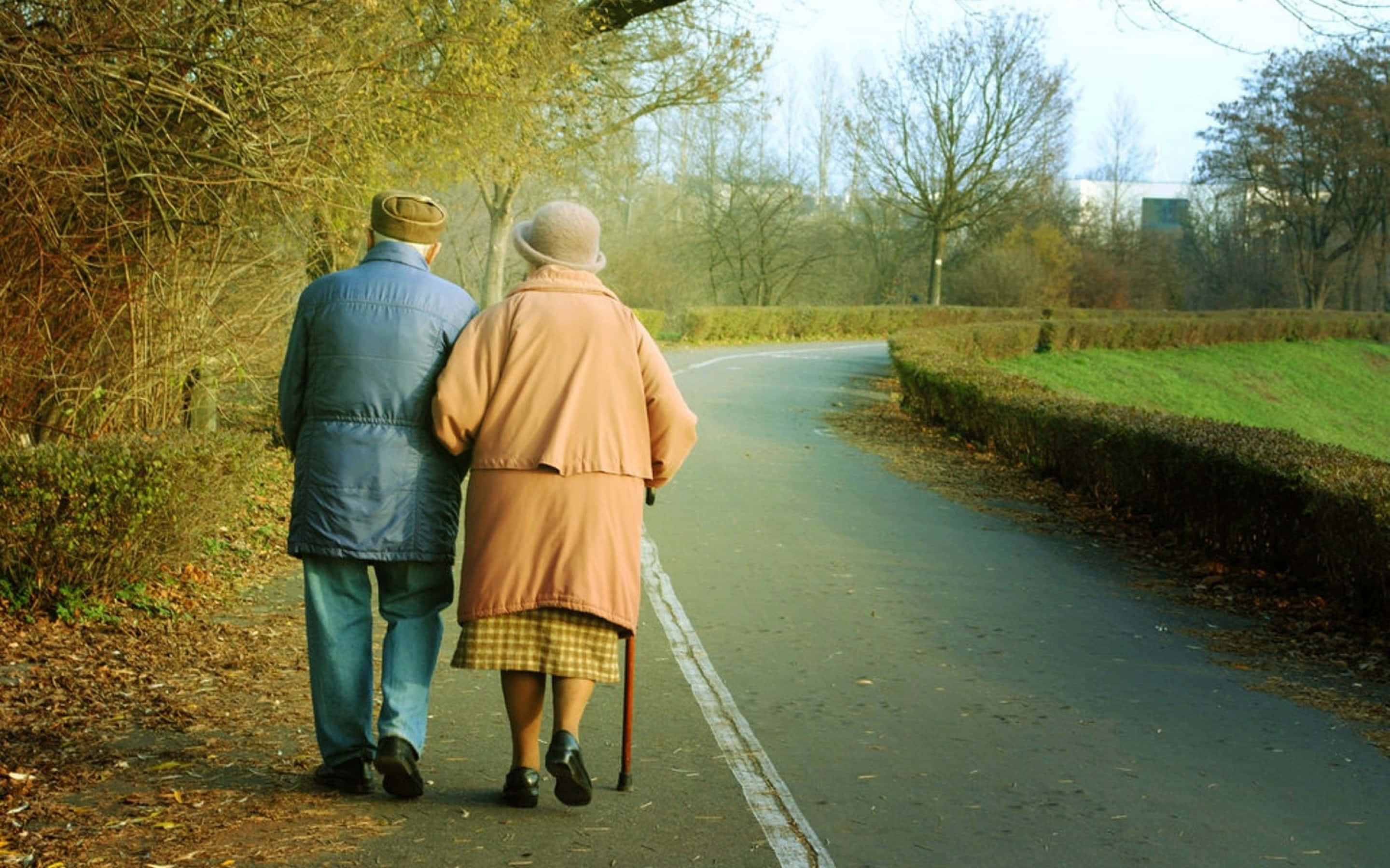 Old Couple, tree-lined road, autumn, 2K Desktop Wallpaper