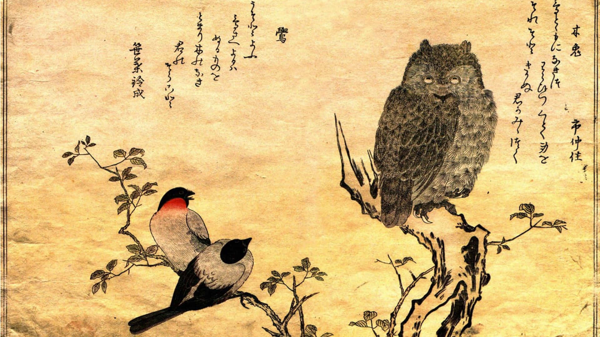 Old Japanese, owl, two birds, Full HD Desktop Wallpaper