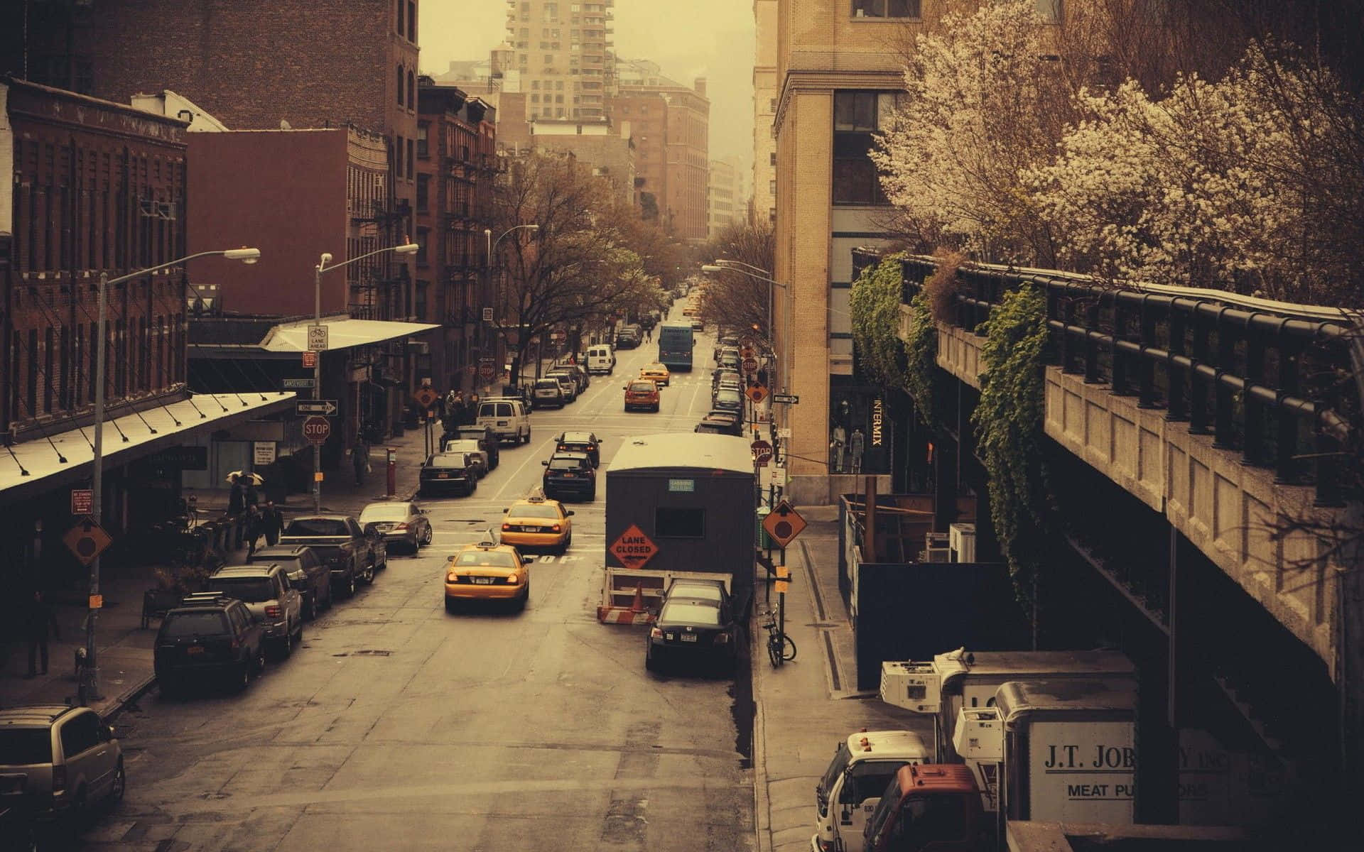 Old New York City, brick buildings, cherry blossoms, Full HD Desktop Wallpaper