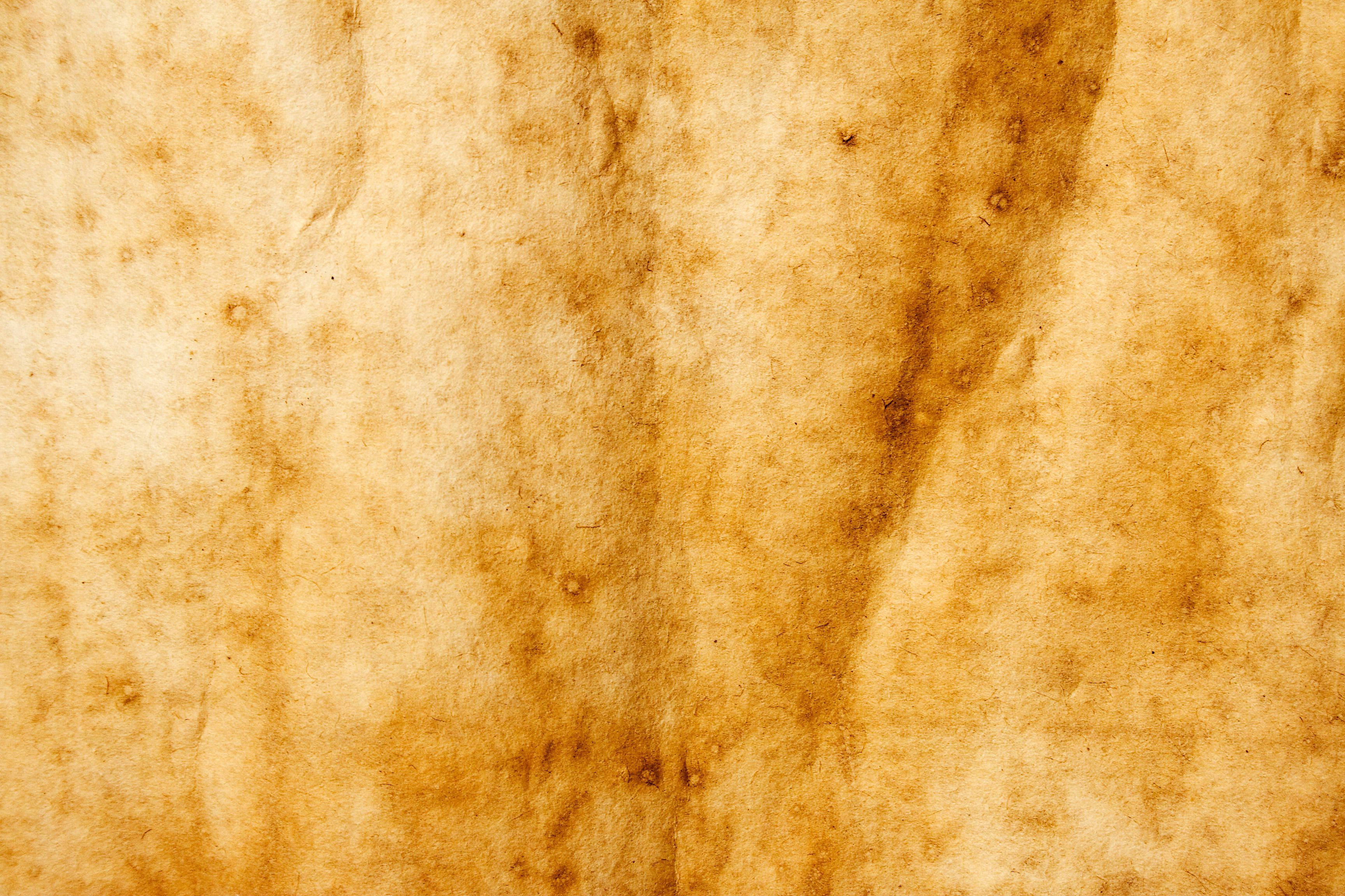 old paper, rusty spots, aged parchment, 2K Desktop Wallpaper