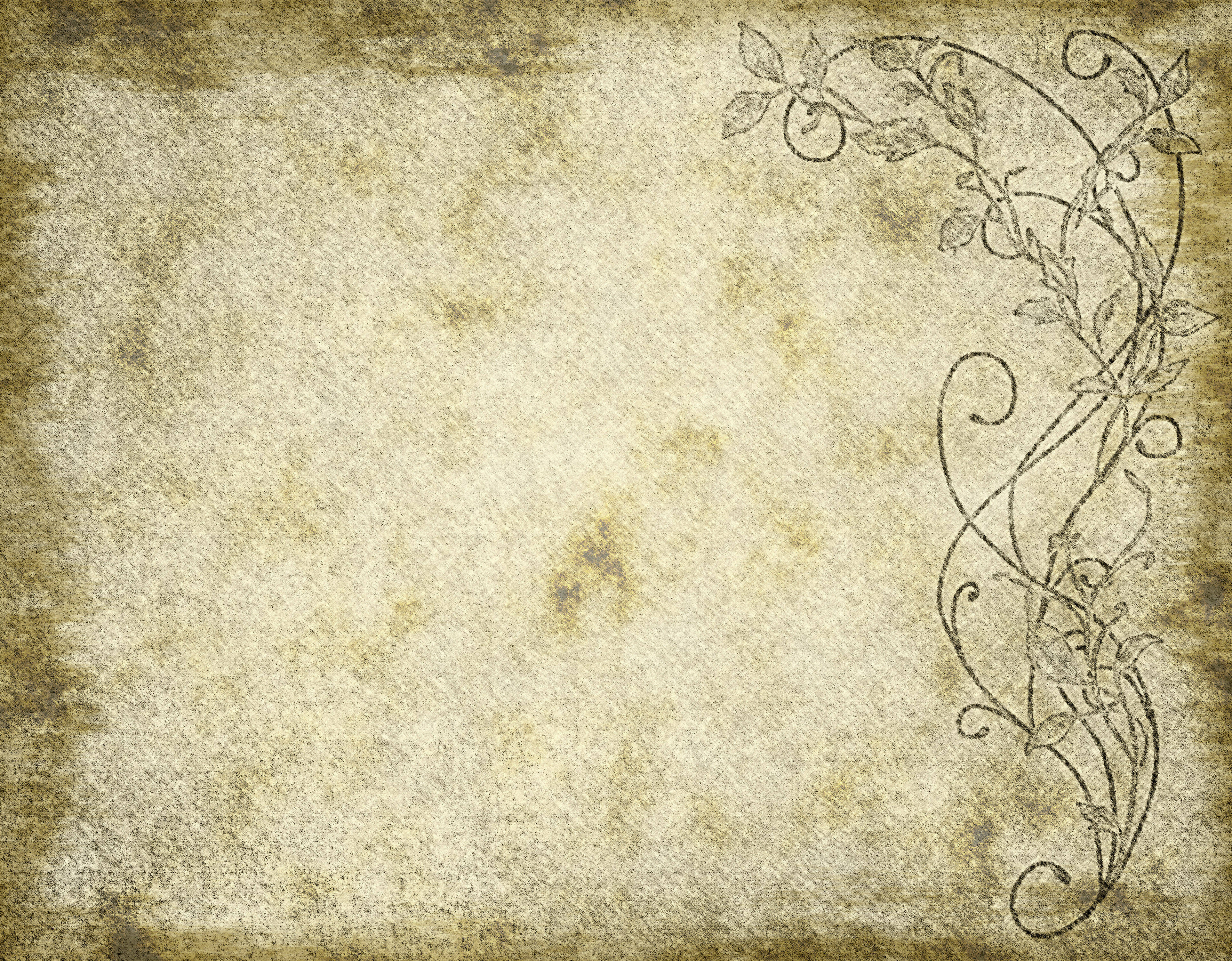 parchment paper, classic swirl design, vintage, 4K Desktop Wallpaper