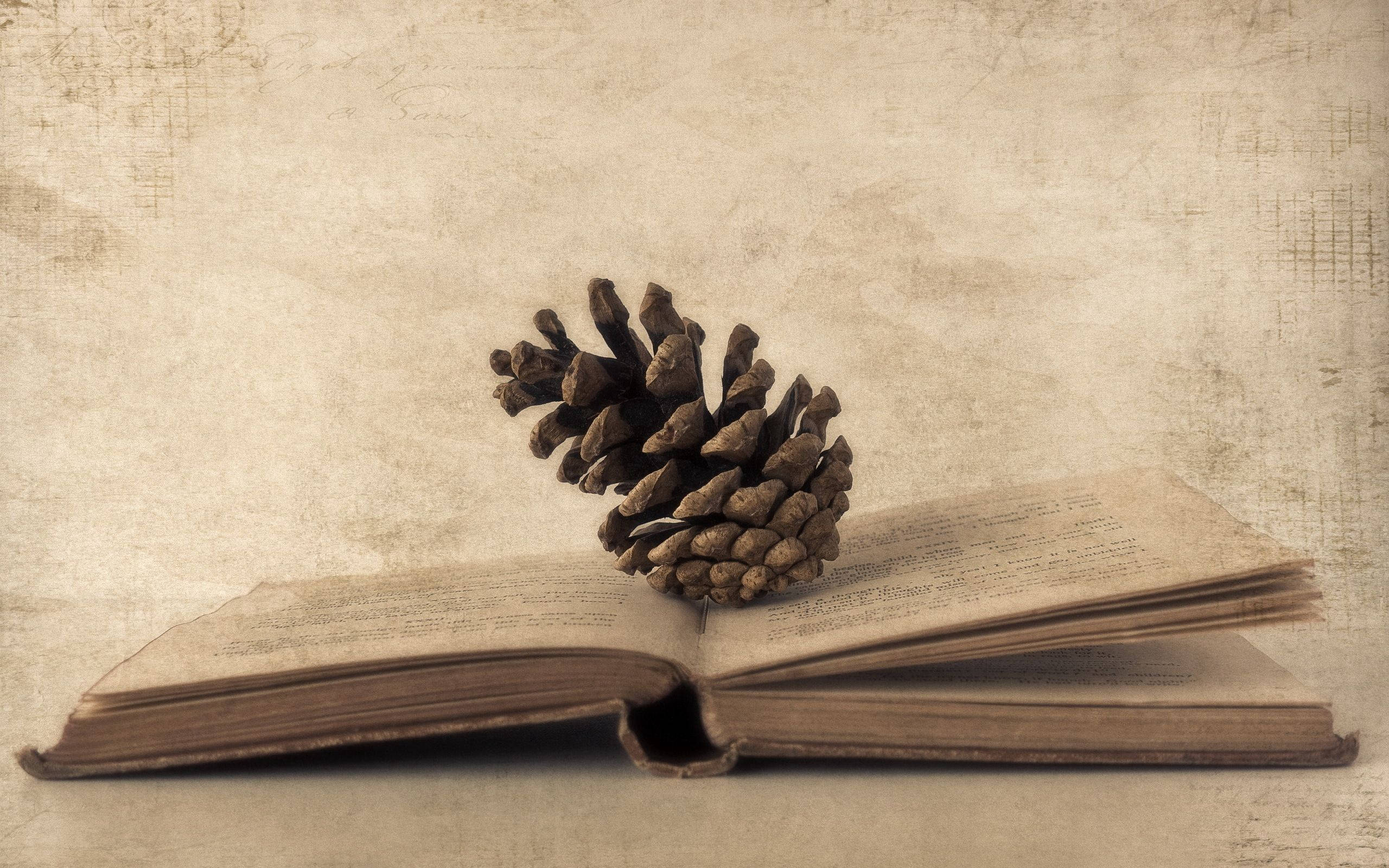 pinecone, vintage book, textured beige backdrop, 2K Desktop Wallpaper