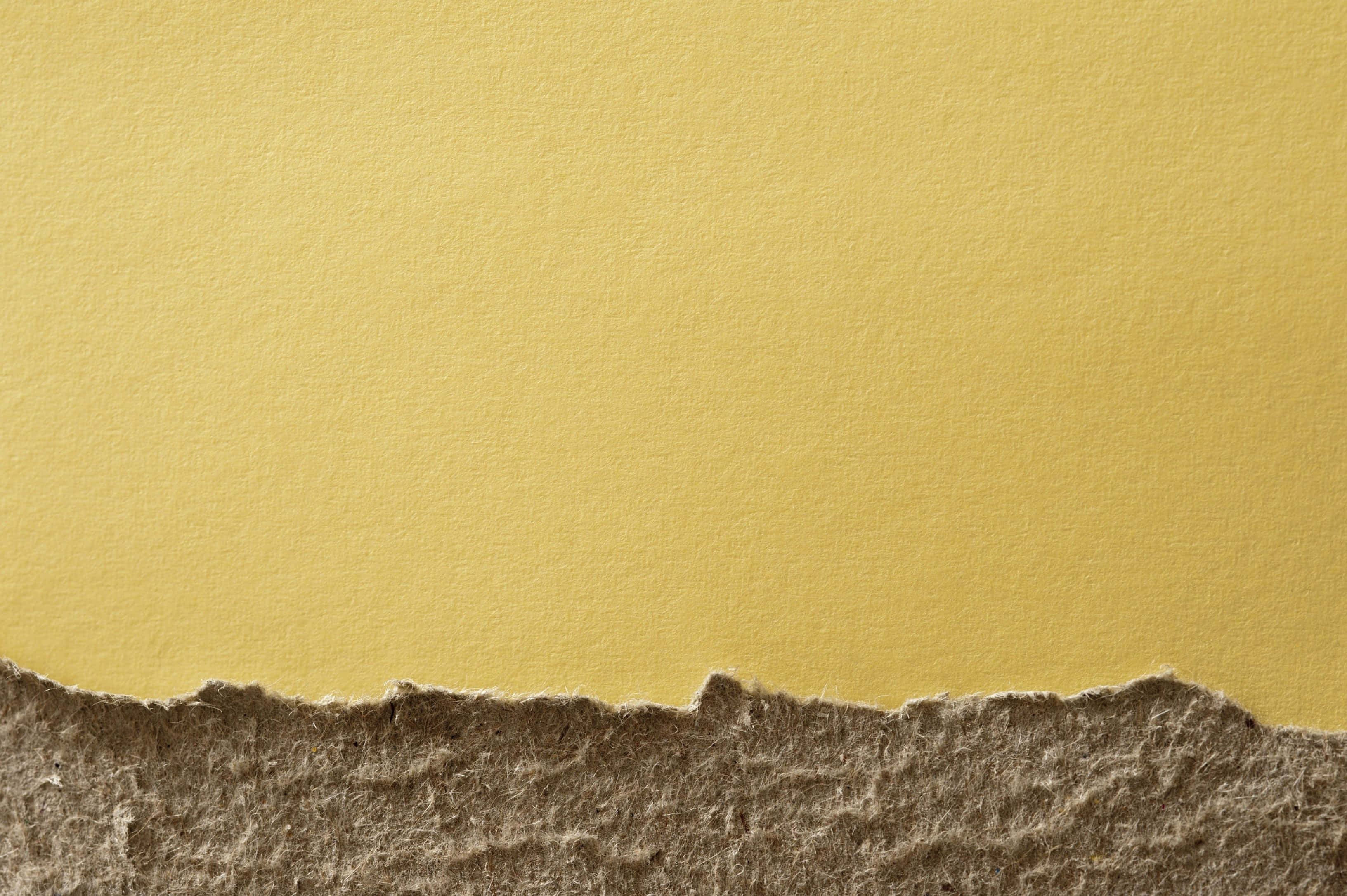 rough border torn paper, textured yellow paper, rough torn edge, 2K Desktop Wallpaper