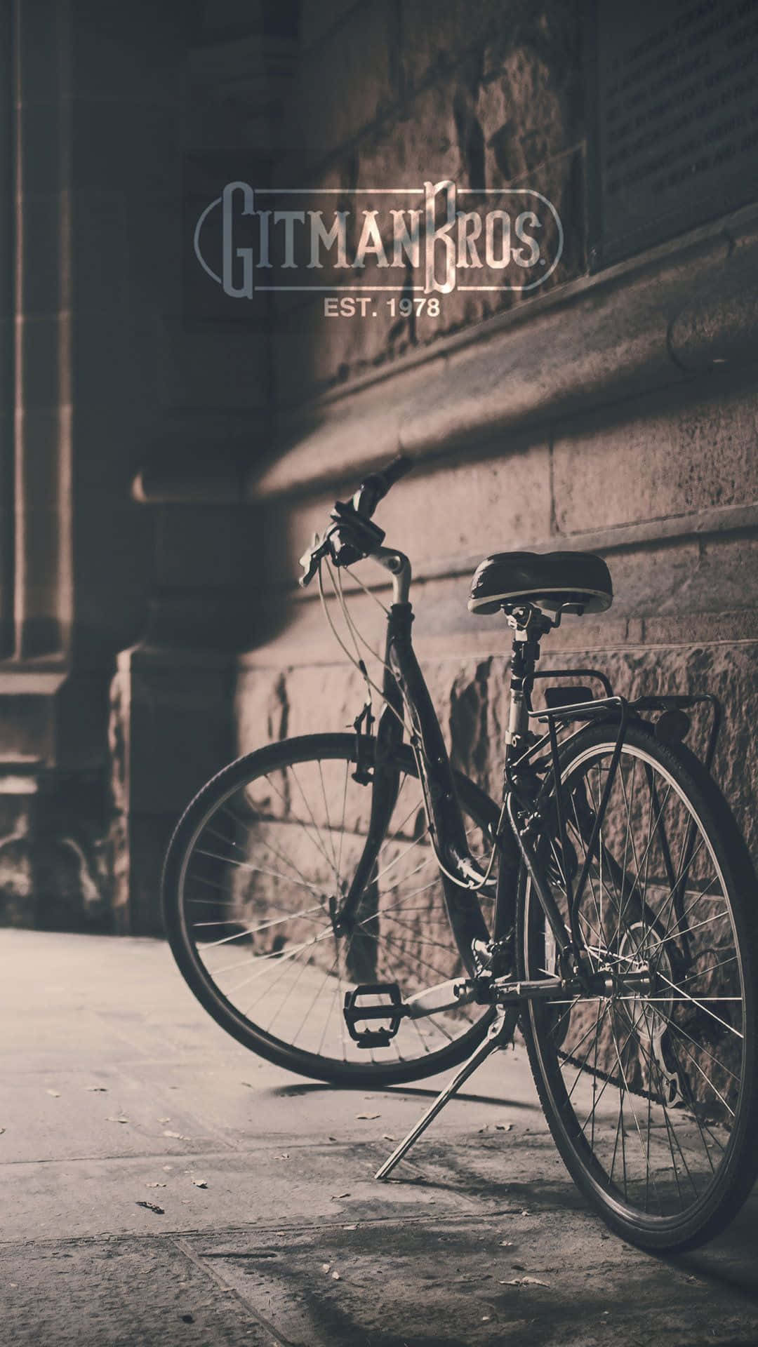 vintage bicycle, stone wall, golden hour light, Full HD Phone Wallpaper