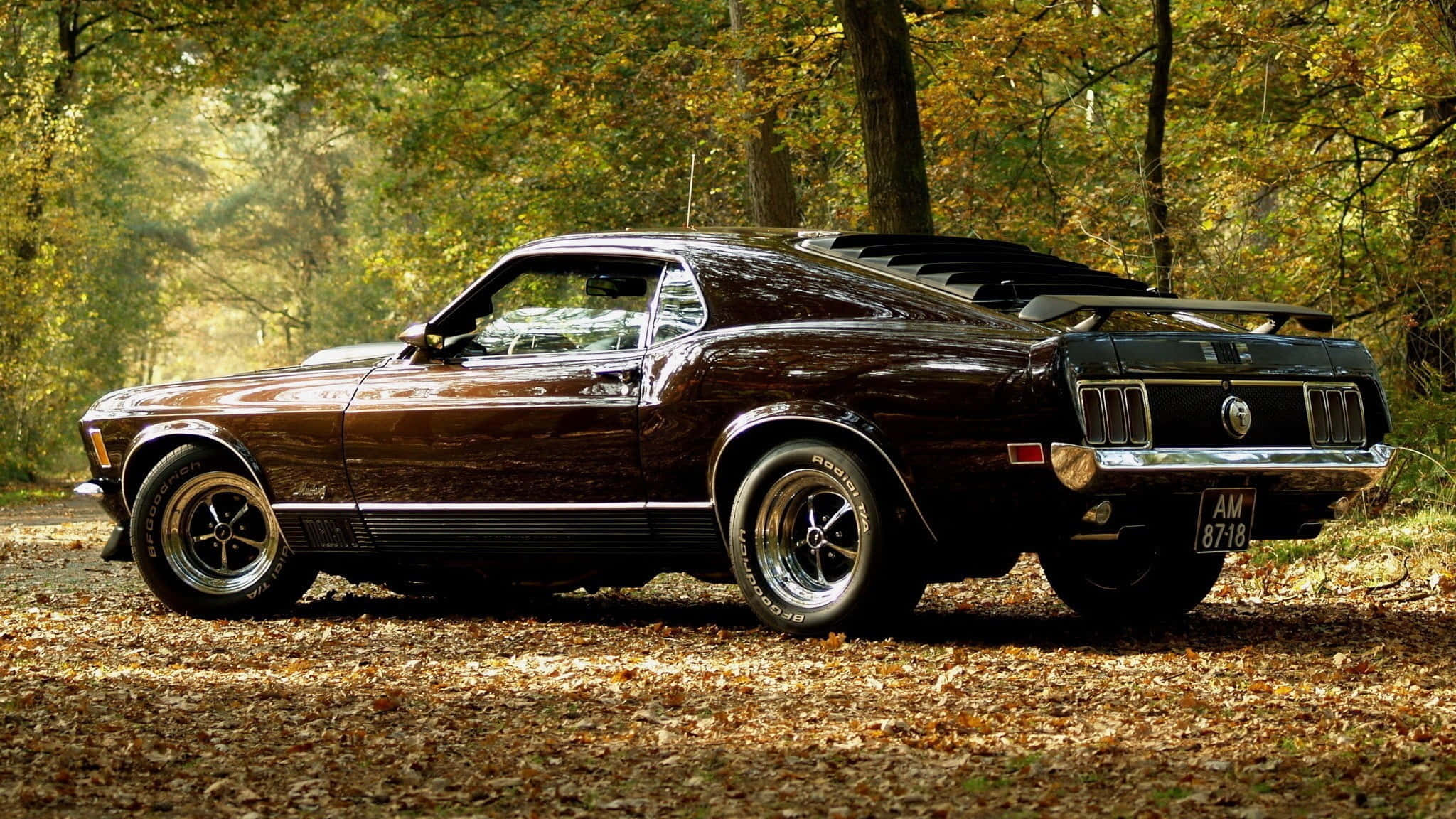 glossy brown, classic muscle car, forest floor, Full HD Desktop Wallpaper