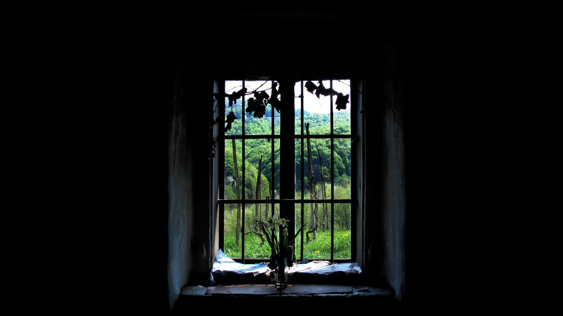 Old Windows, window, bars, Full HD Desktop Wallpaper