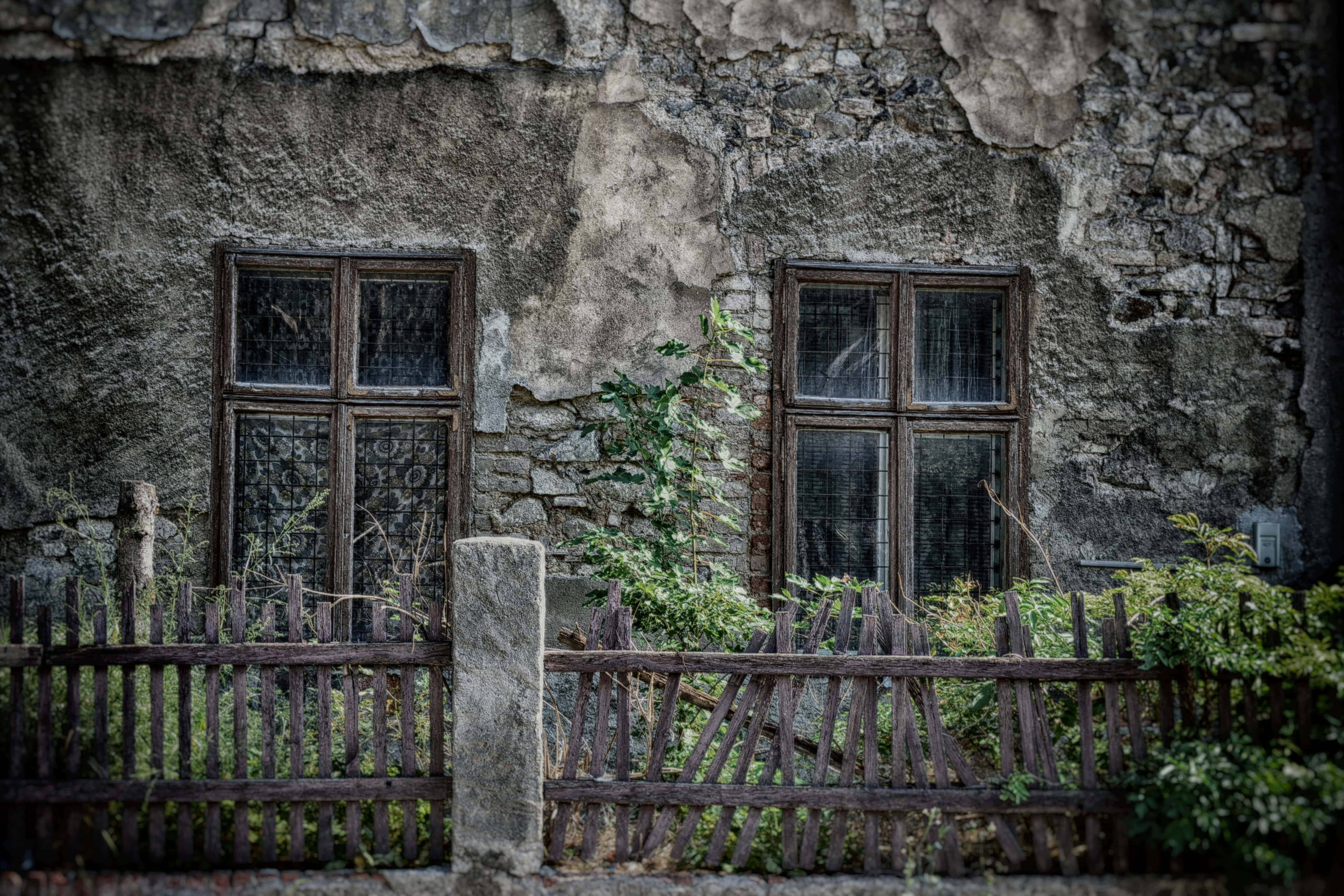 Weathered stone wall, Two broken windows, Overgrown greenery, 5K Desktop Wallpaper