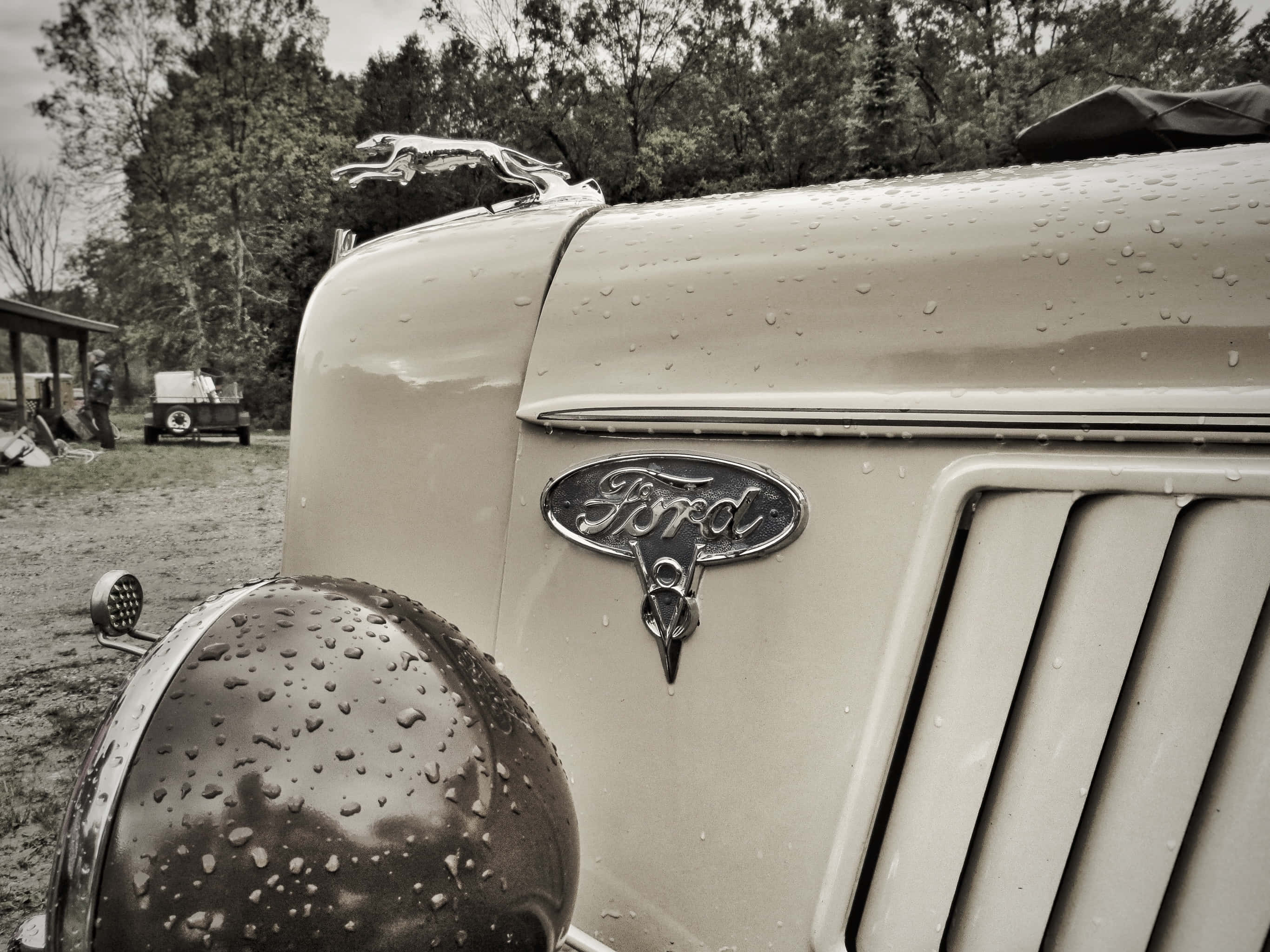 vintage Ford truck, hood ornament, raindrops, 2K Desktop Wallpaper