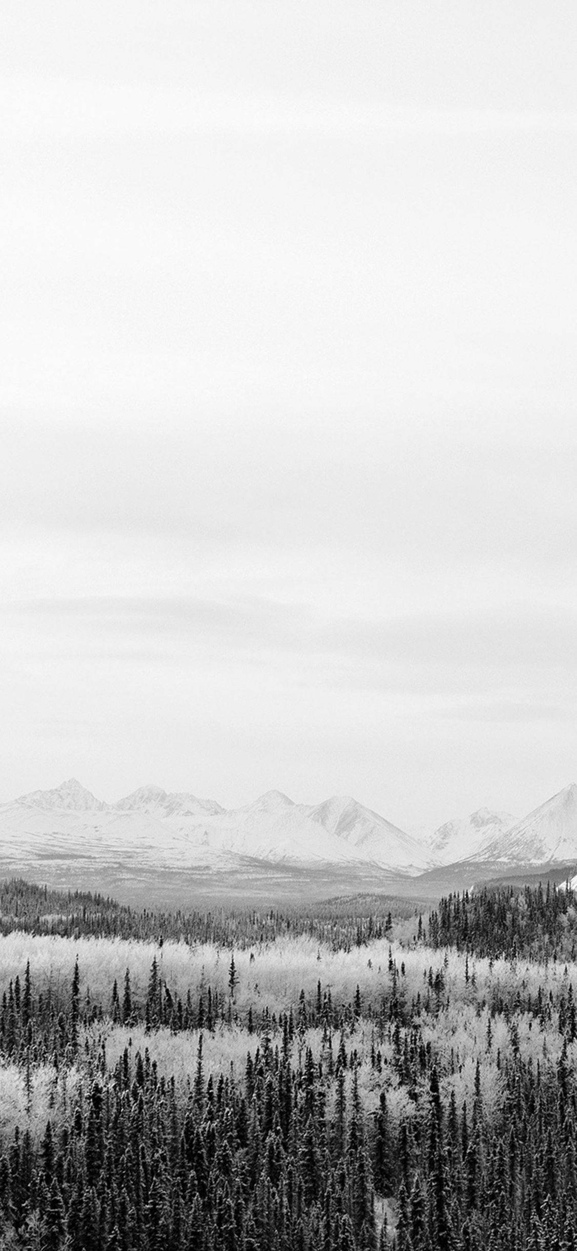 OLED 4K, snowy forest, snow-capped mountains, Full HD Phone Wallpaper