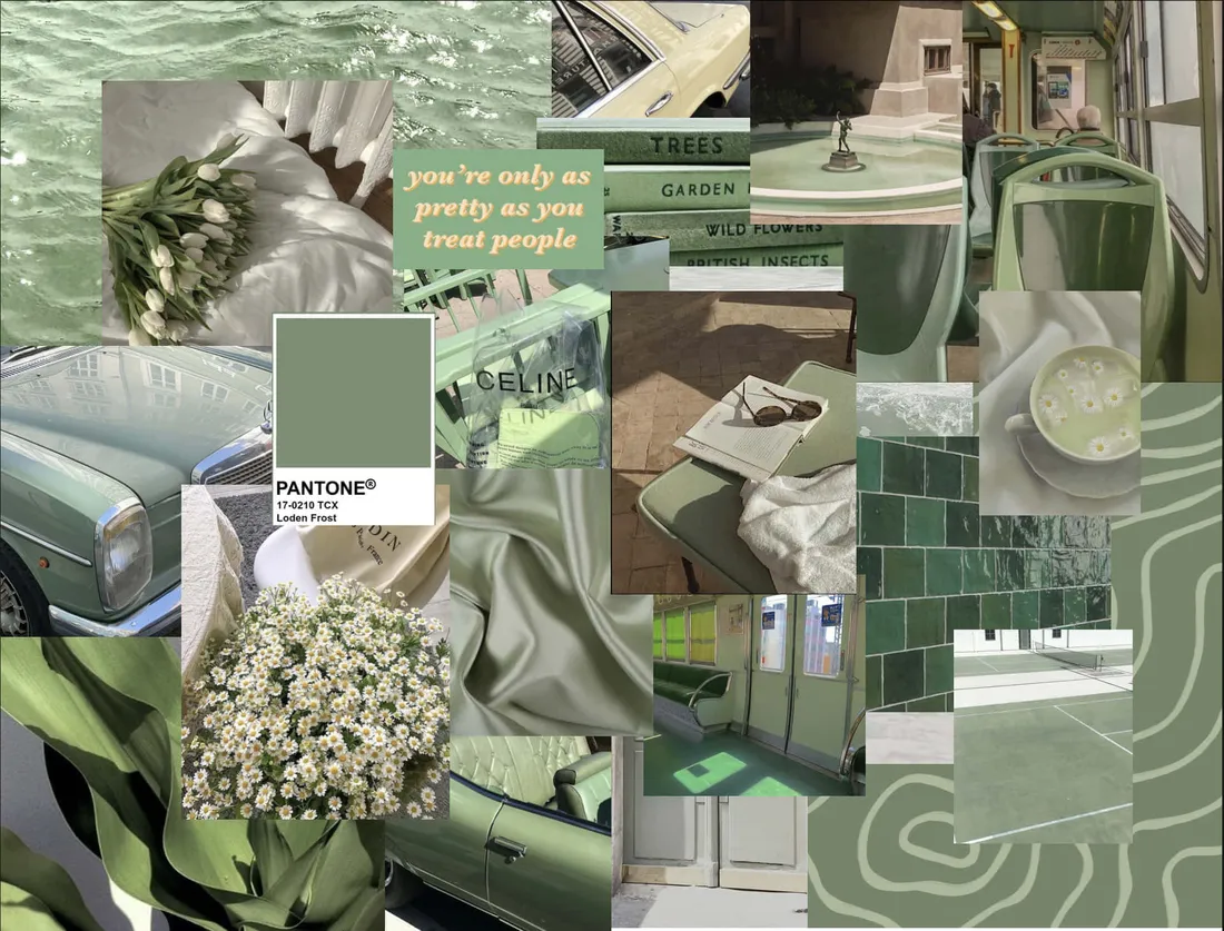 Olive Green Aesthetic