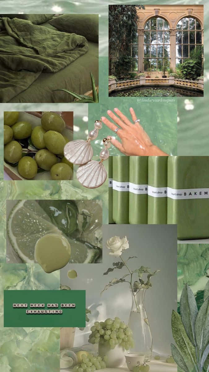 Olive Green Aesthetic, velvet bedding, olives, SD Phone Wallpaper