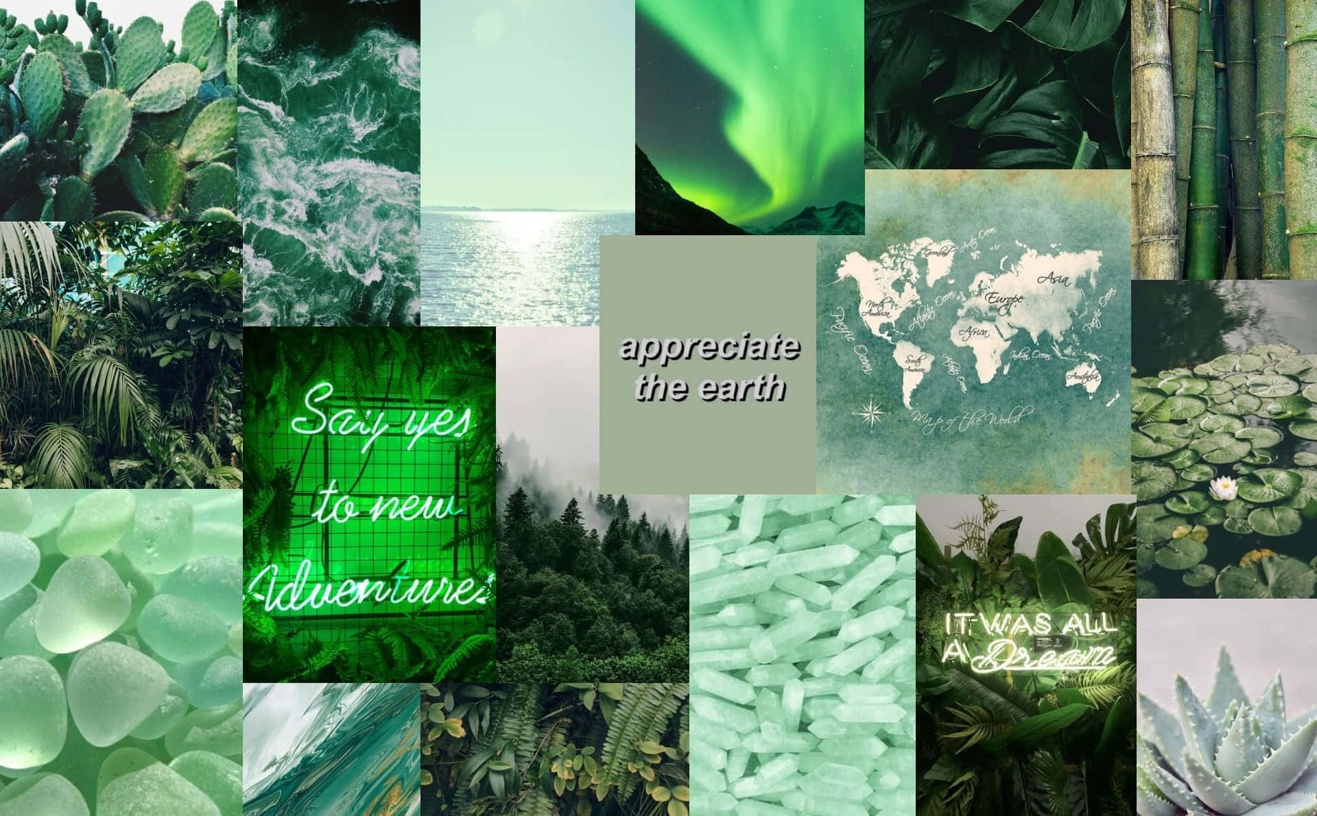 Olive Greenaesthetic, nature scenes, neon text, Full HD Desktop Wallpaper