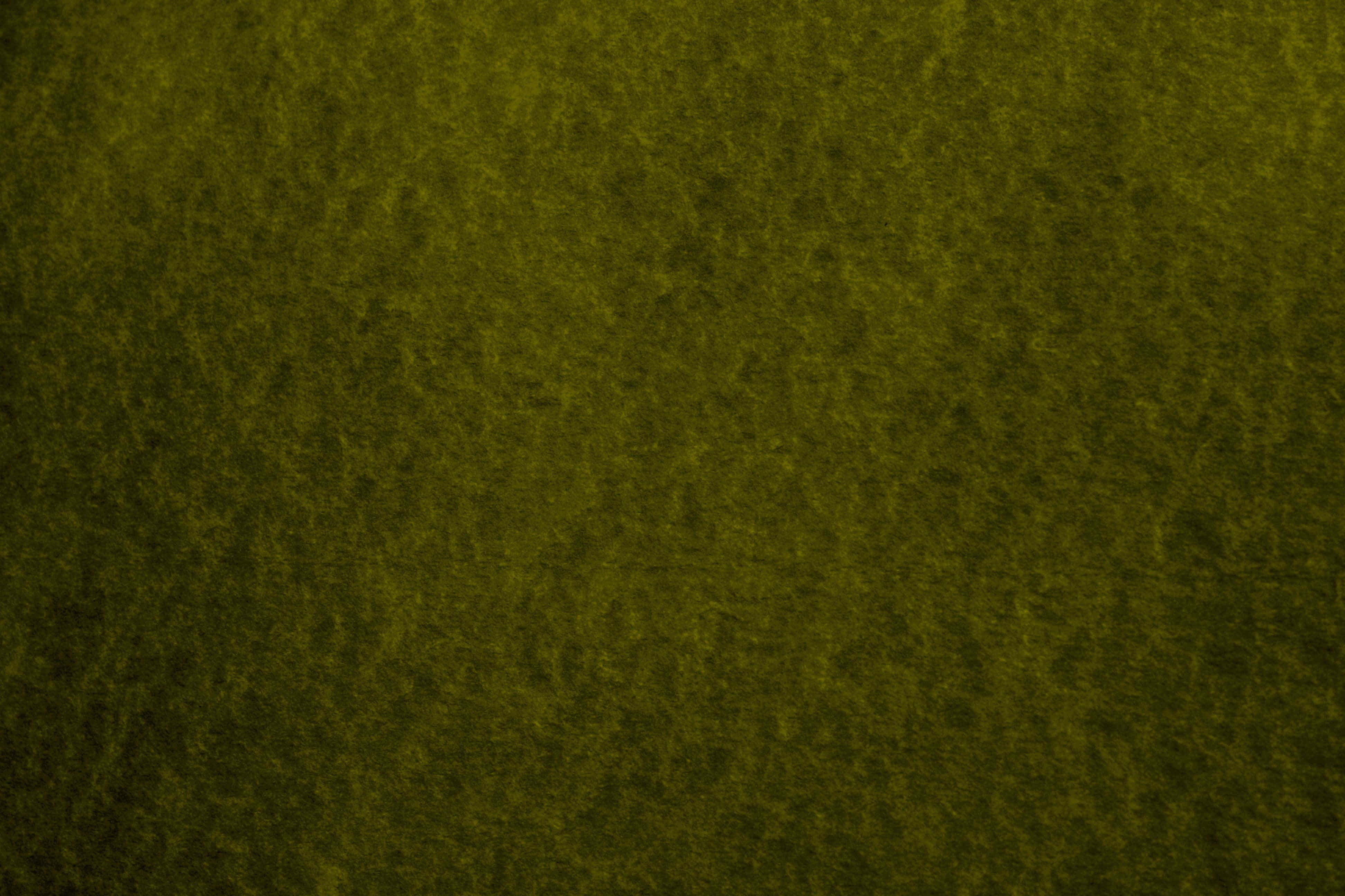 Olive Green, 3888 x 2592, forest, 4K Desktop Wallpaper
