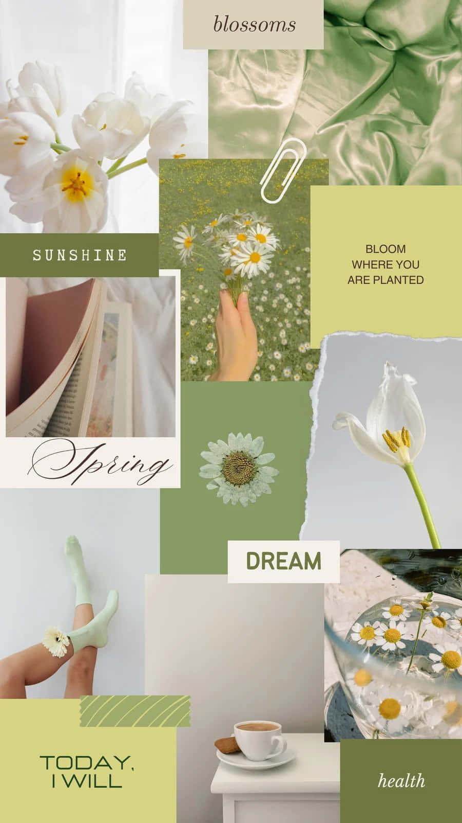 Olive Green, tulips, daisies, HD Phone Wallpaper