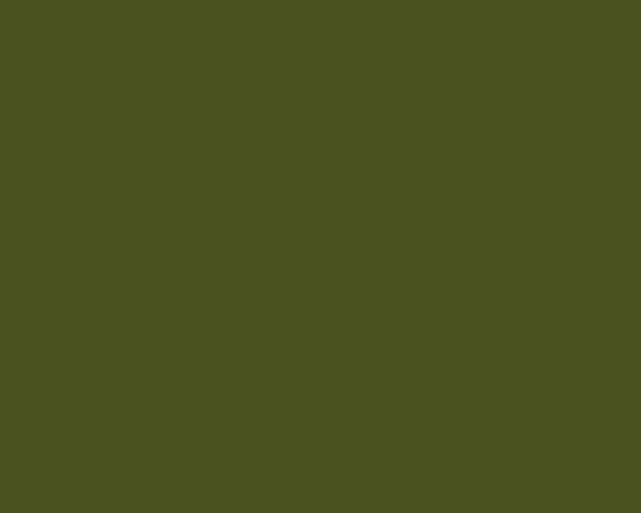 Olive Green, 1280 x 1024, solid, HD Desktop Wallpaper