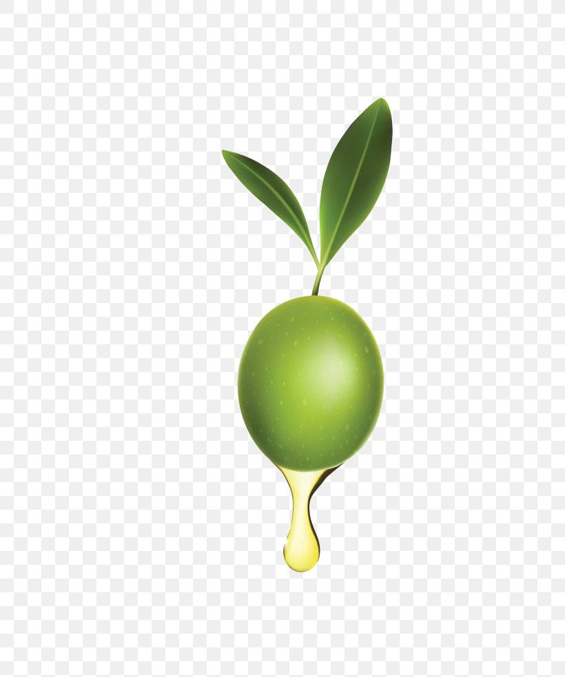 green olive fruit extract oil, glossy green olive, golden oil, SD Phone Wallpaper