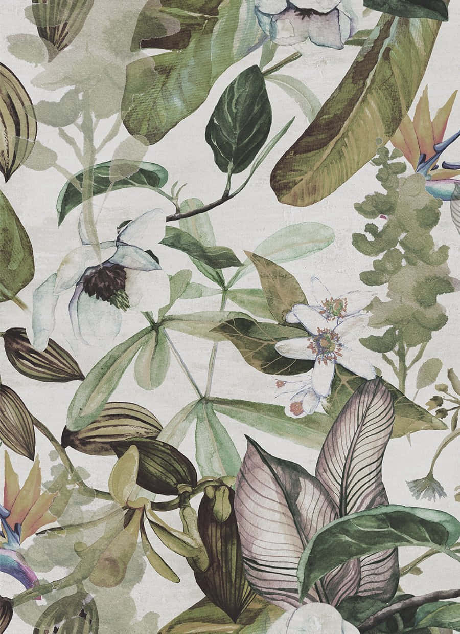 olive tree, watercolor botanical wallpaper, lush green leaves, SD Phone Wallpaper