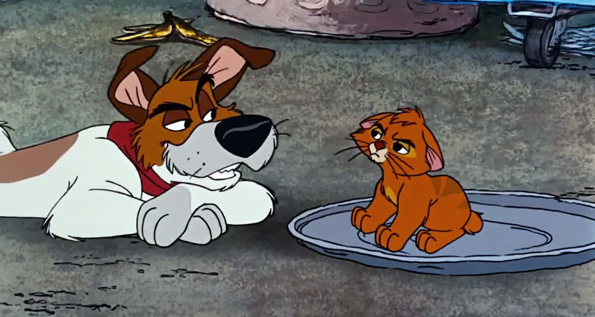 Oliver and company, red scarf, orange kitten, SD Desktop Wallpaper