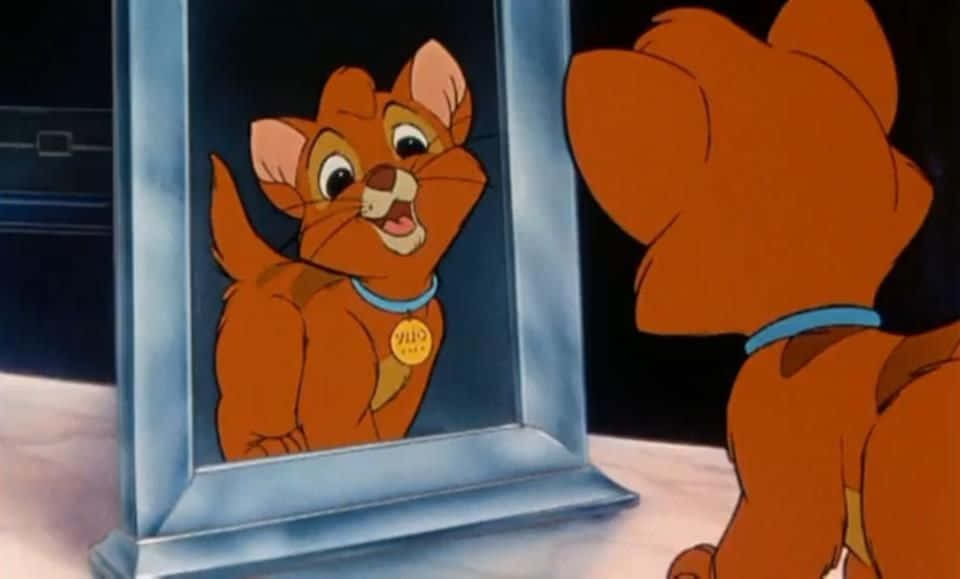 Oliver and company, orange kitten, blue collar, SD Desktop Wallpaper
