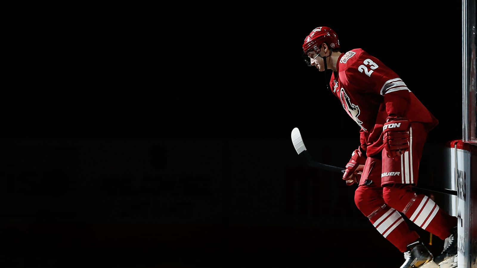 Oliver Ekman Larsson, red gear, rink boards, HD Desktop Wallpaper