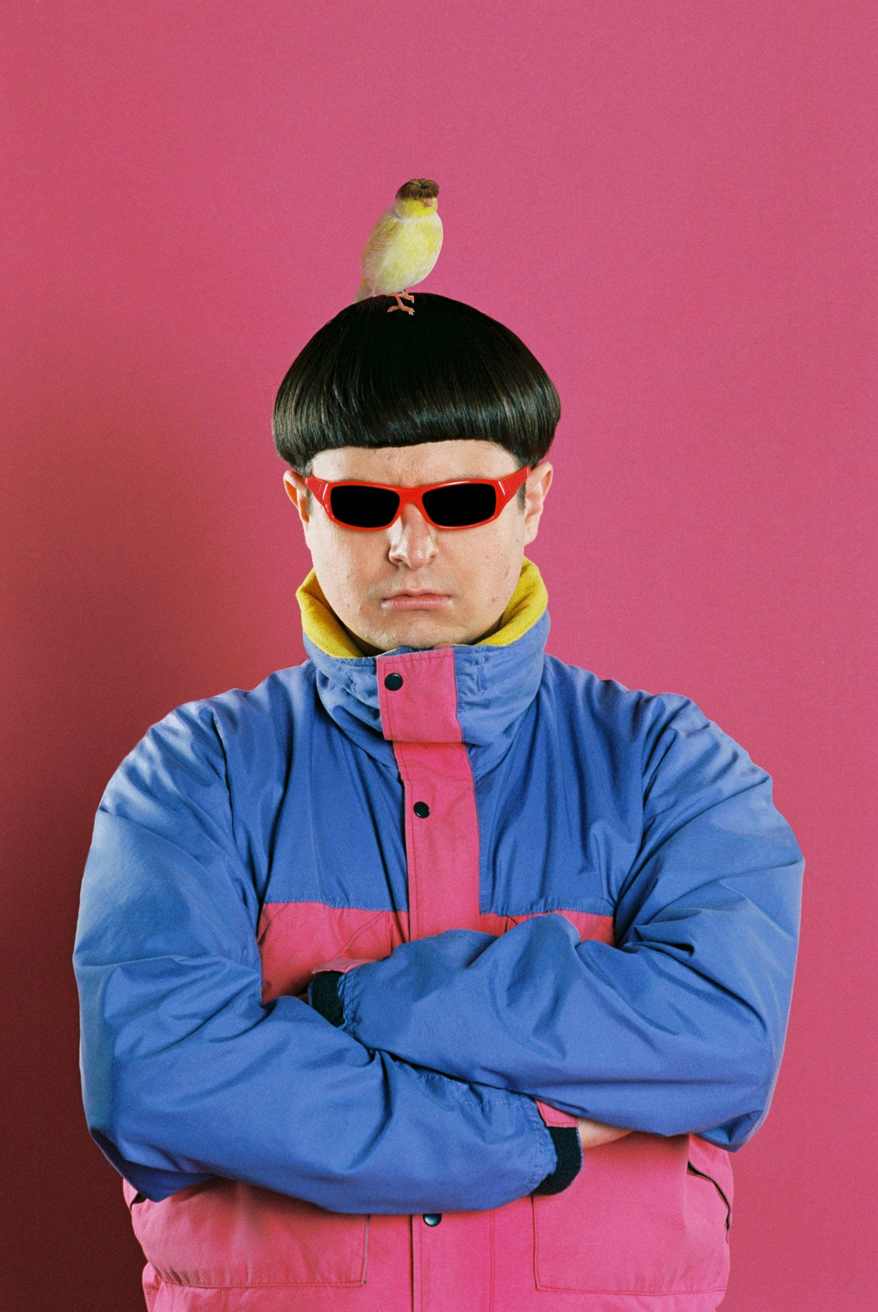 Oliver Tree, yellow bird, bold blue and pink jacket, 2K Phone Wallpaper